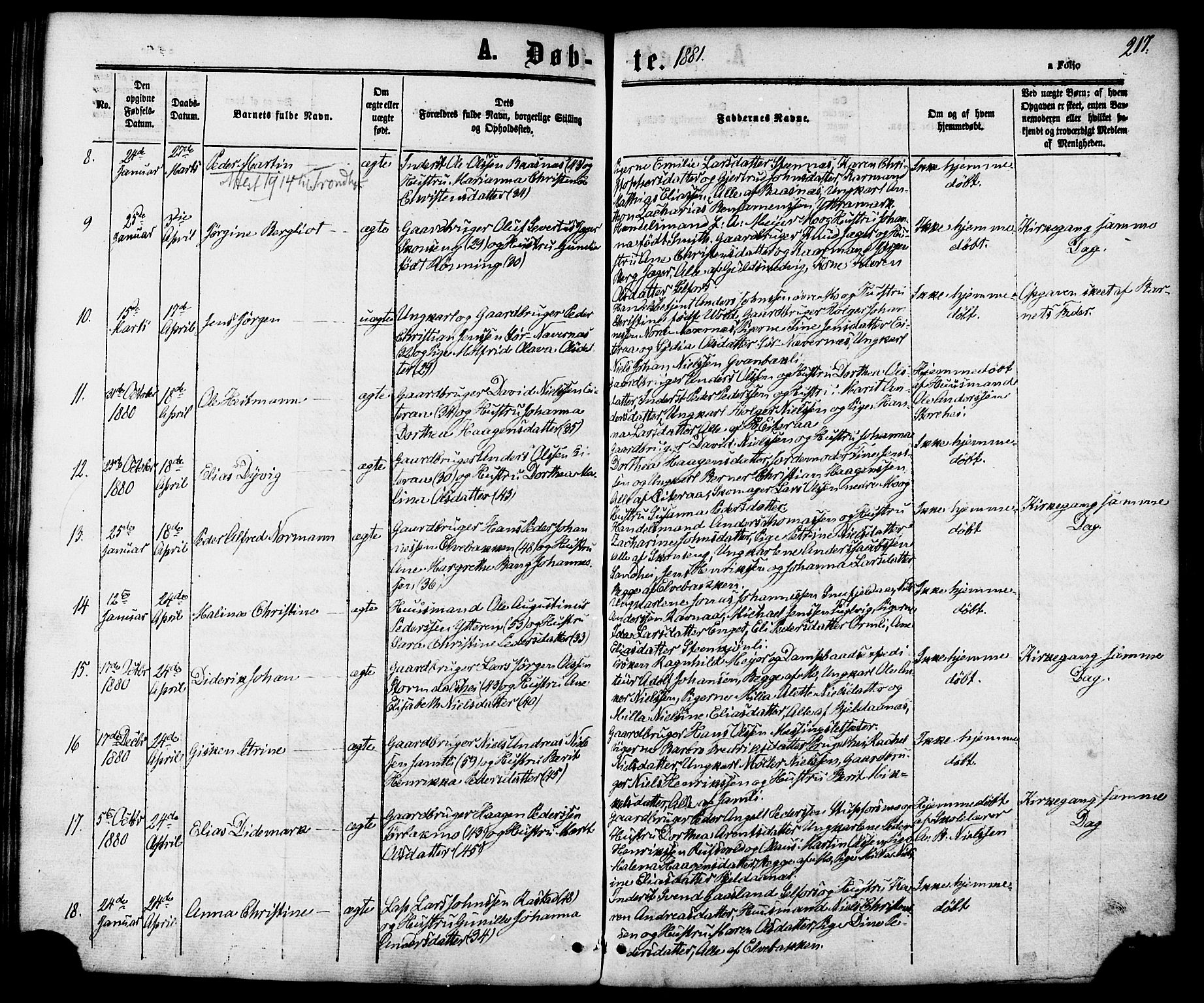 Ministerialprotokoller, klokkerbøker og fødselsregistre - Nordland, AV/SAT-A-1459/827/L0393: Ministerialbok nr. 827A05, 1863-1883, s. 217