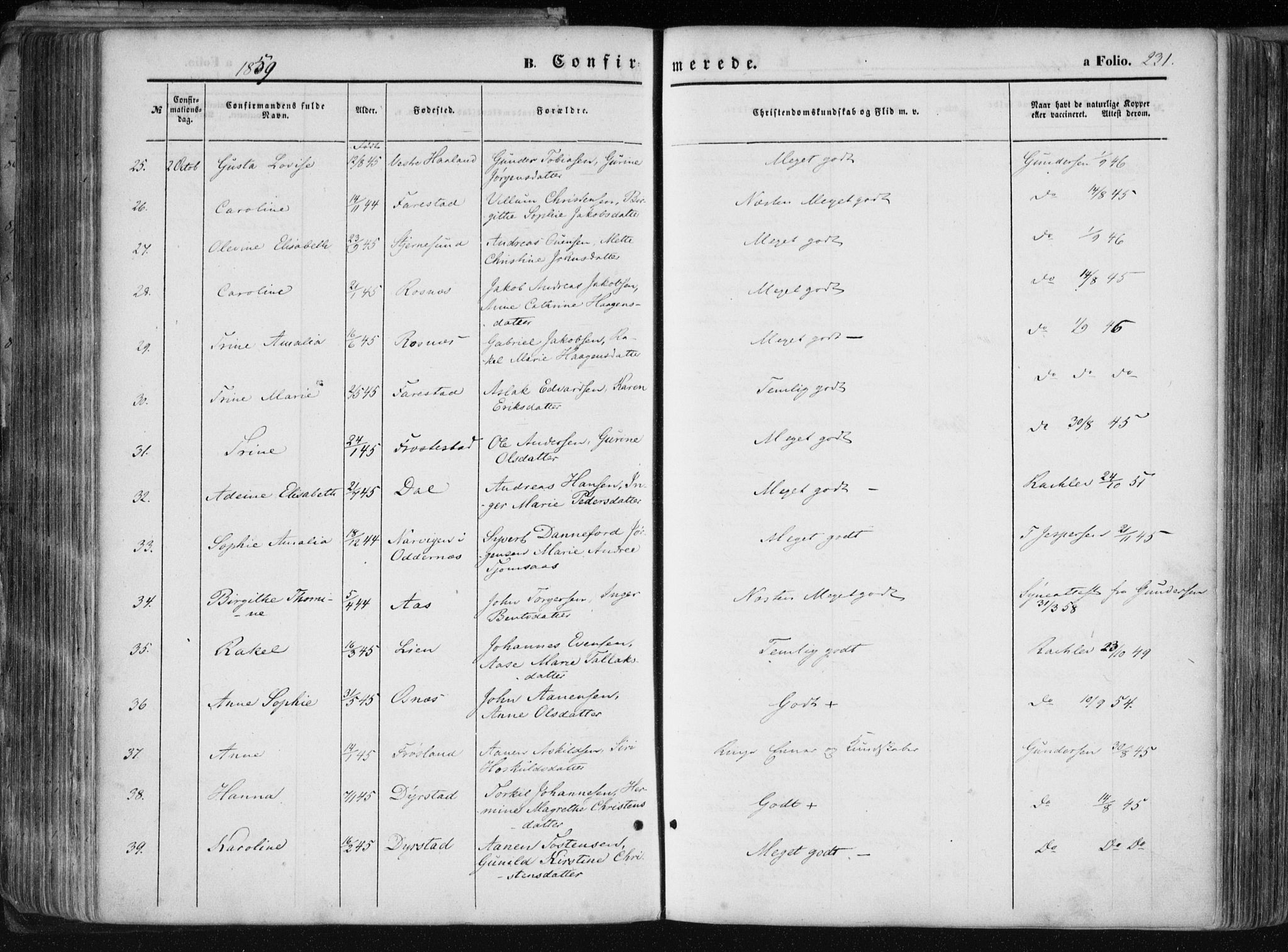 Mandal sokneprestkontor, SAK/1111-0030/F/Fa/Faa/L0014: Ministerialbok nr. A 14, 1859-1872, s. 231