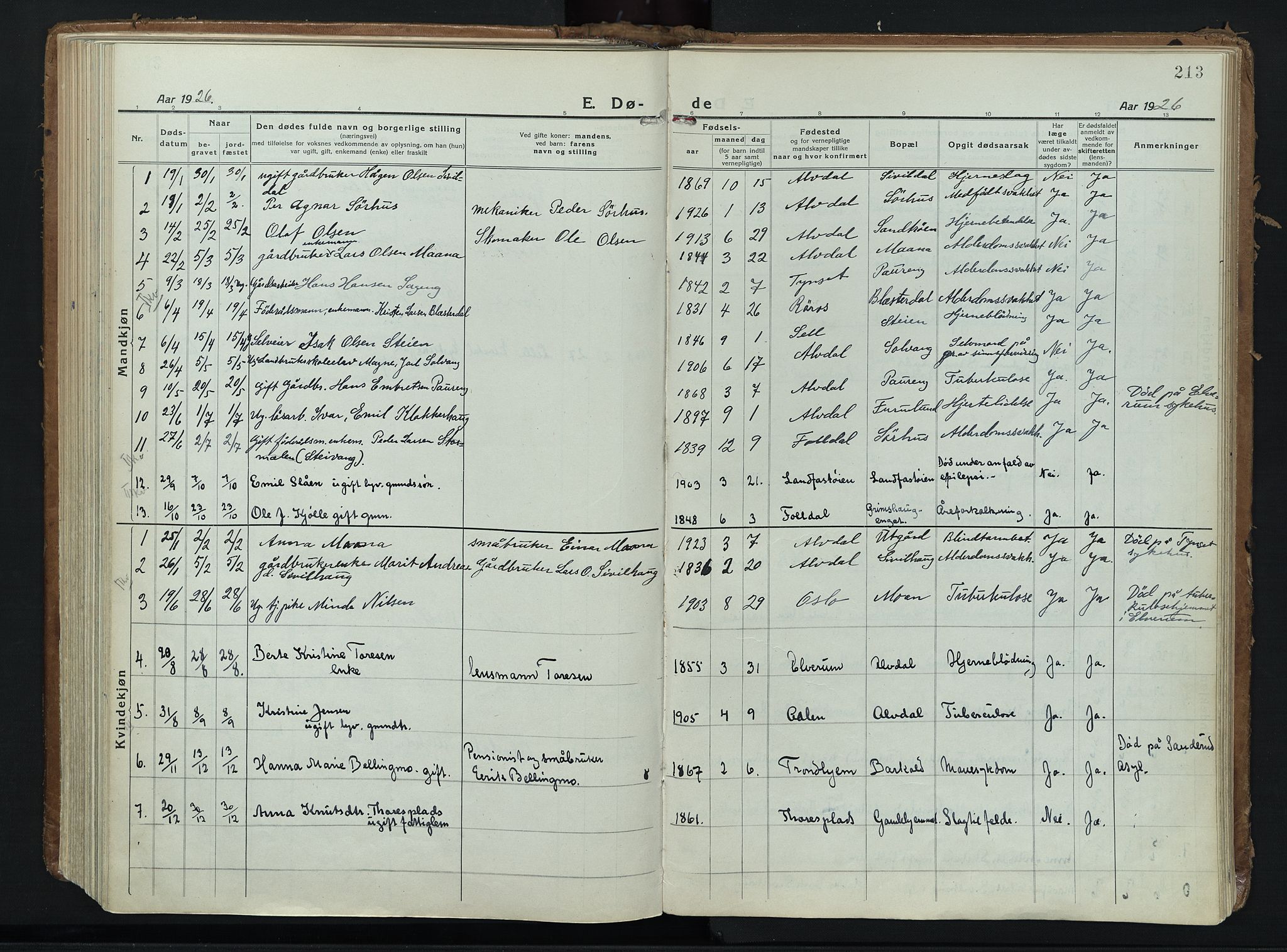 Alvdal prestekontor, AV/SAH-PREST-060/H/Ha/Haa/L0006: Ministerialbok nr. 6, 1920-1937, s. 213