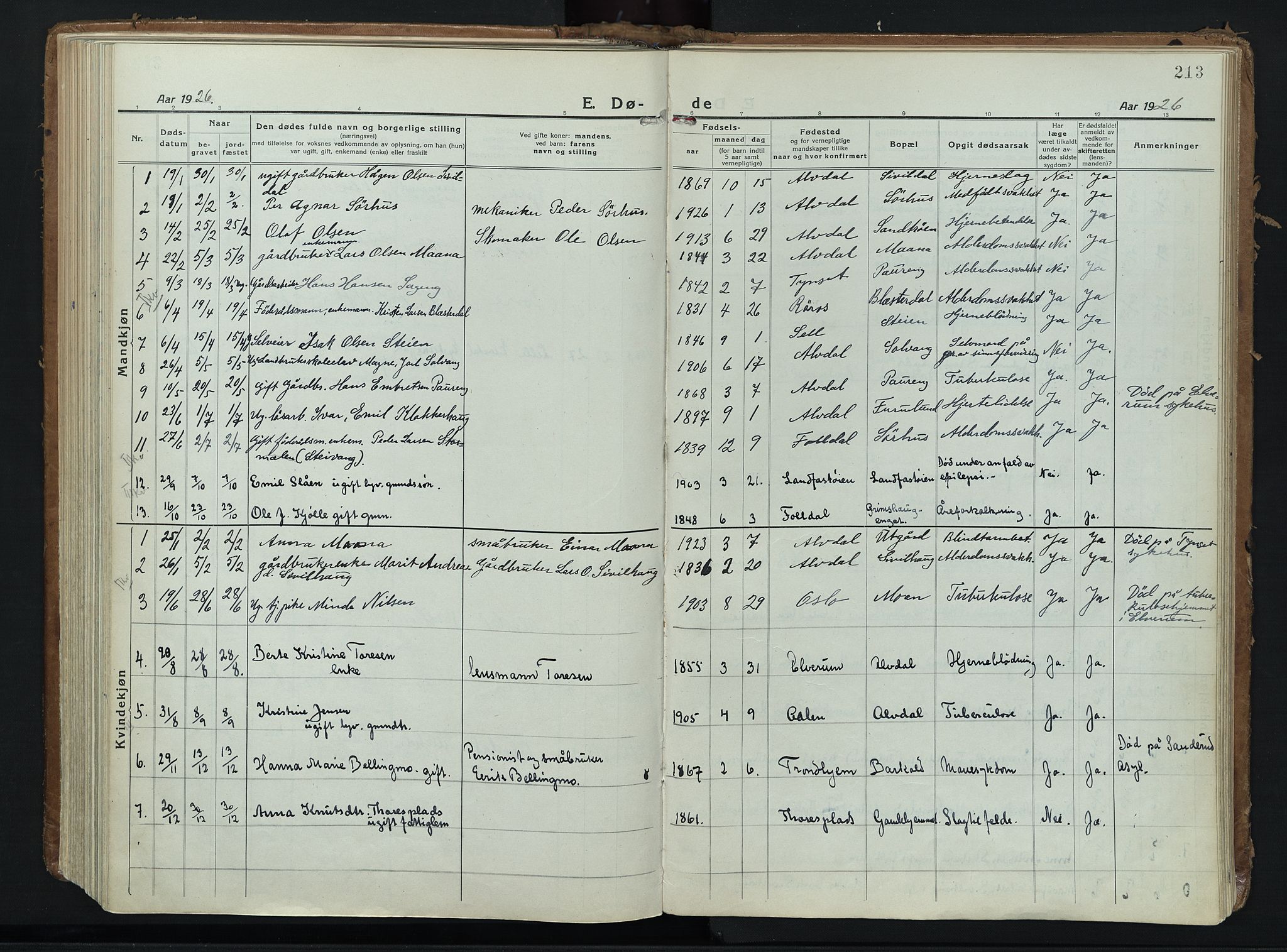 Alvdal prestekontor, SAH/PREST-060/H/Ha/Haa/L0006: Ministerialbok nr. 6, 1920-1937, s. 213