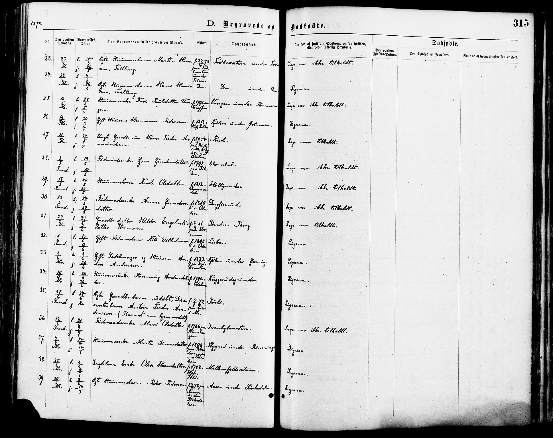 Nord-Odal prestekontor, AV/SAH-PREST-032/H/Ha/Haa/L0005: Ministerialbok nr. 5, 1874-1885, s. 315