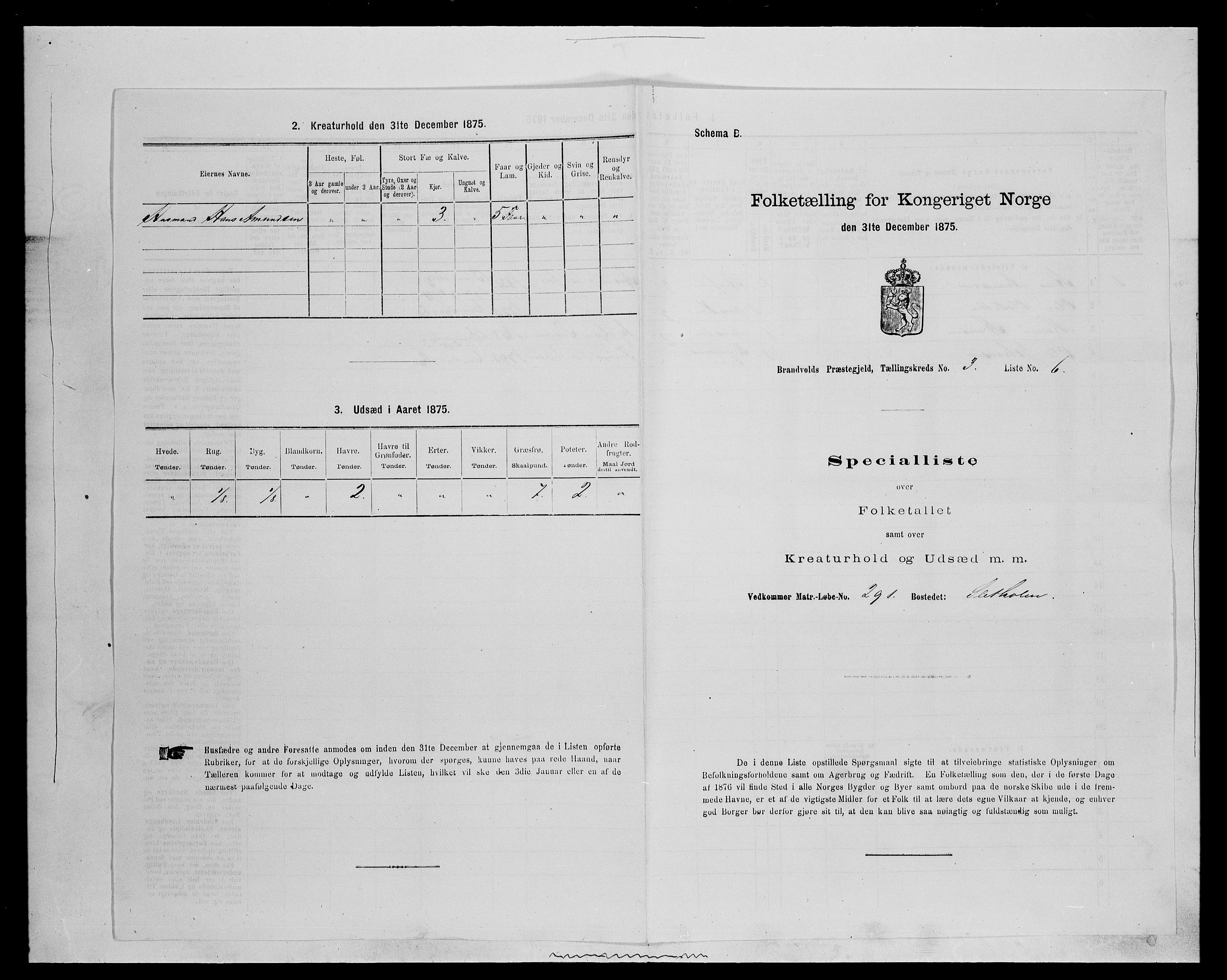 SAH, Folketelling 1875 for 0422P Brandval prestegjeld, 1875, s. 420