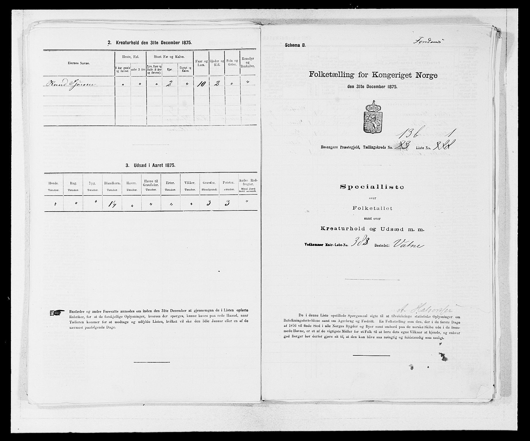 SAB, Folketelling 1875 for 1253P Hosanger prestegjeld, 1875, s. 996