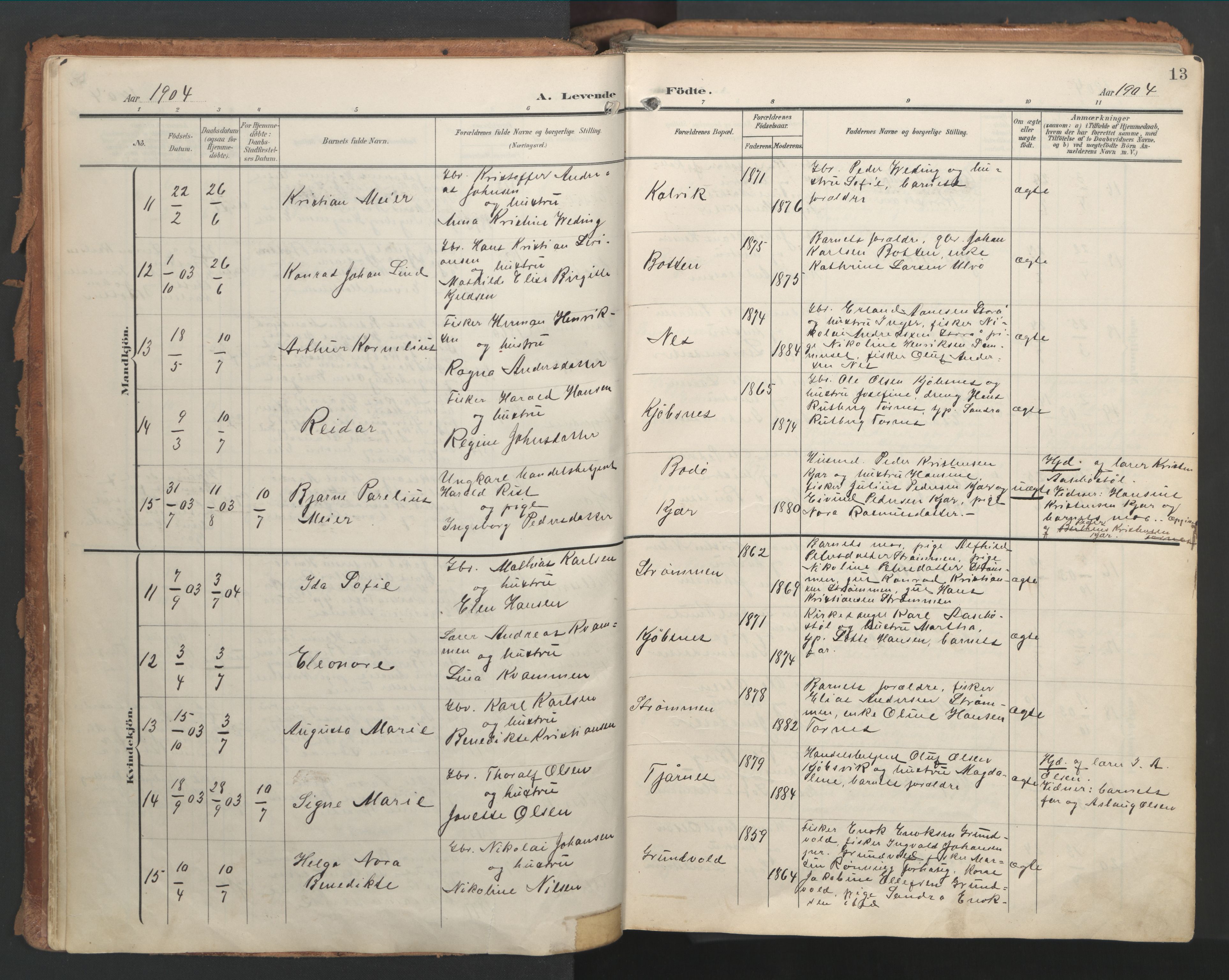 Ministerialprotokoller, klokkerbøker og fødselsregistre - Nordland, AV/SAT-A-1459/861/L0871: Ministerialbok nr. 861A06, 1903-1916, s. 13