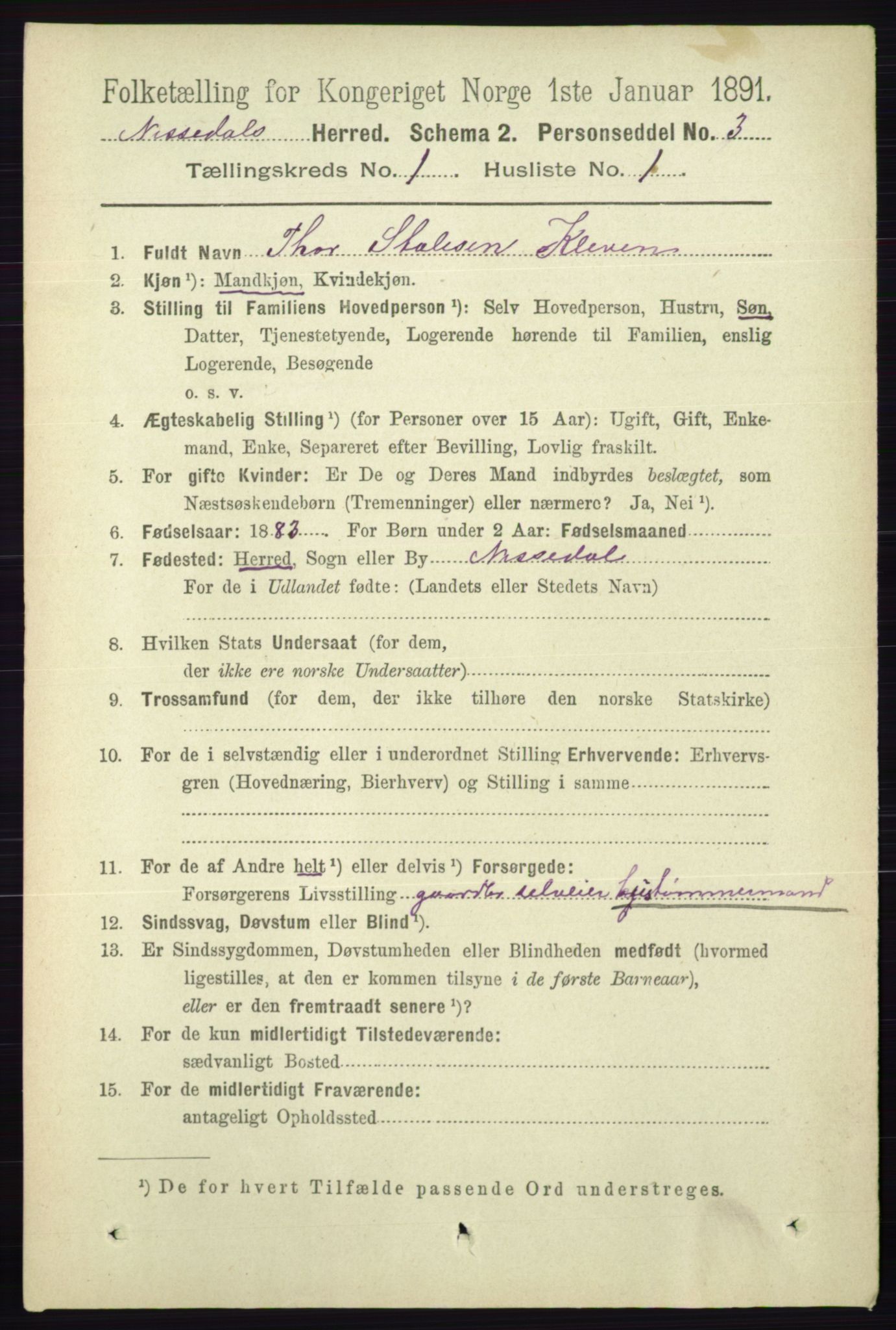 RA, Folketelling 1891 for 0830 Nissedal herred, 1891, s. 65