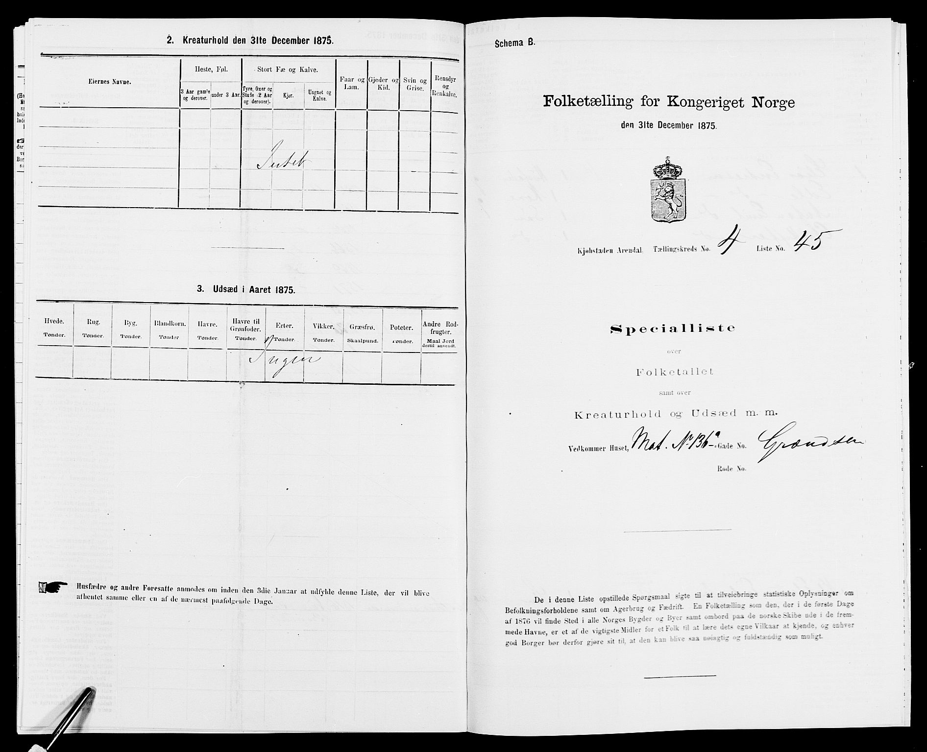 SAK, Folketelling 1875 for 0903P Arendal prestegjeld, 1875, s. 116