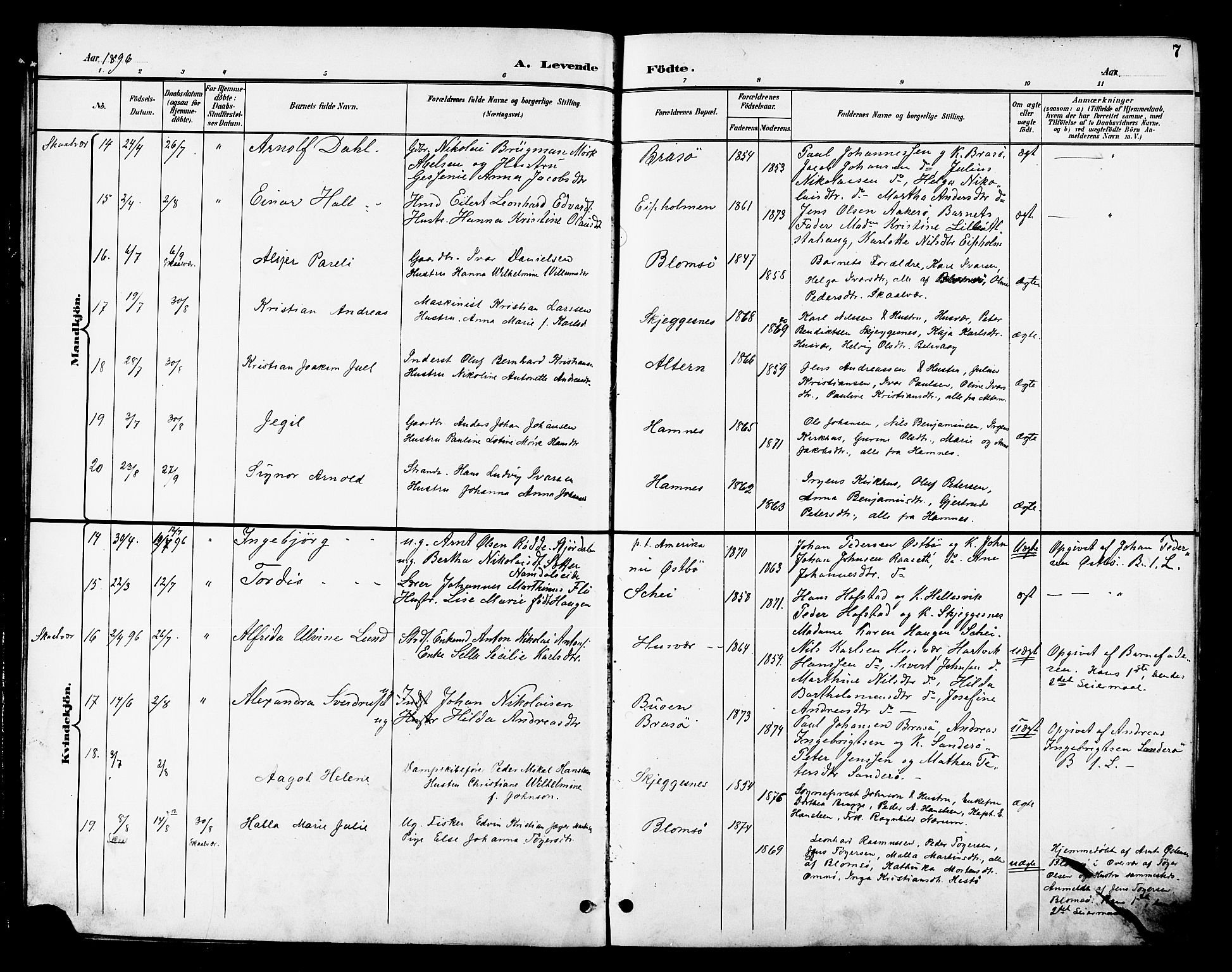 Ministerialprotokoller, klokkerbøker og fødselsregistre - Nordland, AV/SAT-A-1459/830/L0463: Klokkerbok nr. 830C05, 1895-1906, s. 7