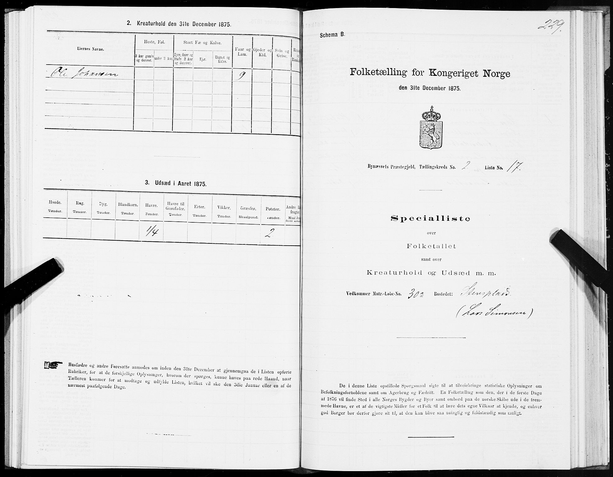 SAT, Folketelling 1875 for 1655P Byneset prestegjeld, 1875, s. 1229