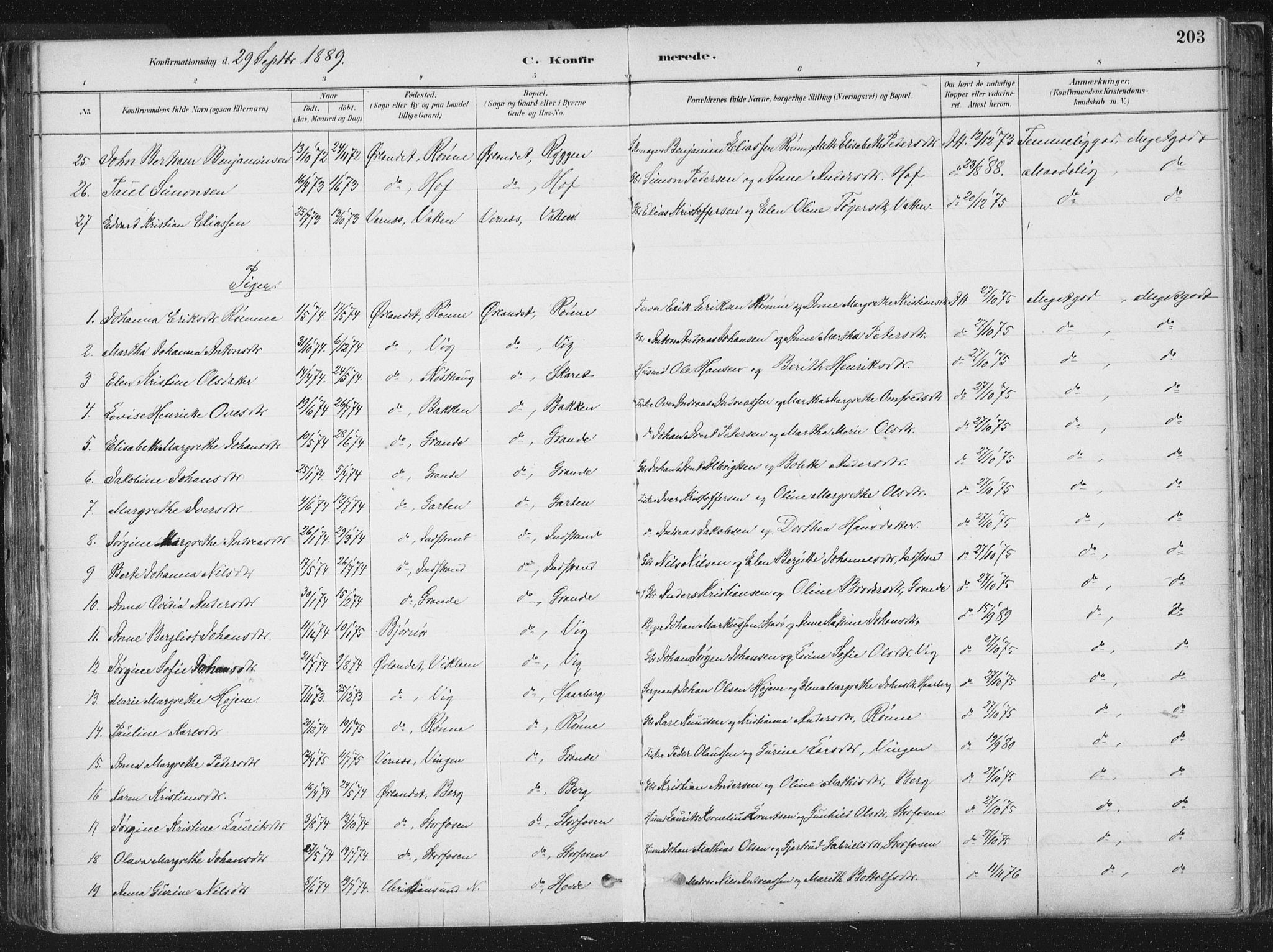 Ministerialprotokoller, klokkerbøker og fødselsregistre - Sør-Trøndelag, AV/SAT-A-1456/659/L0739: Ministerialbok nr. 659A09, 1879-1893, s. 203