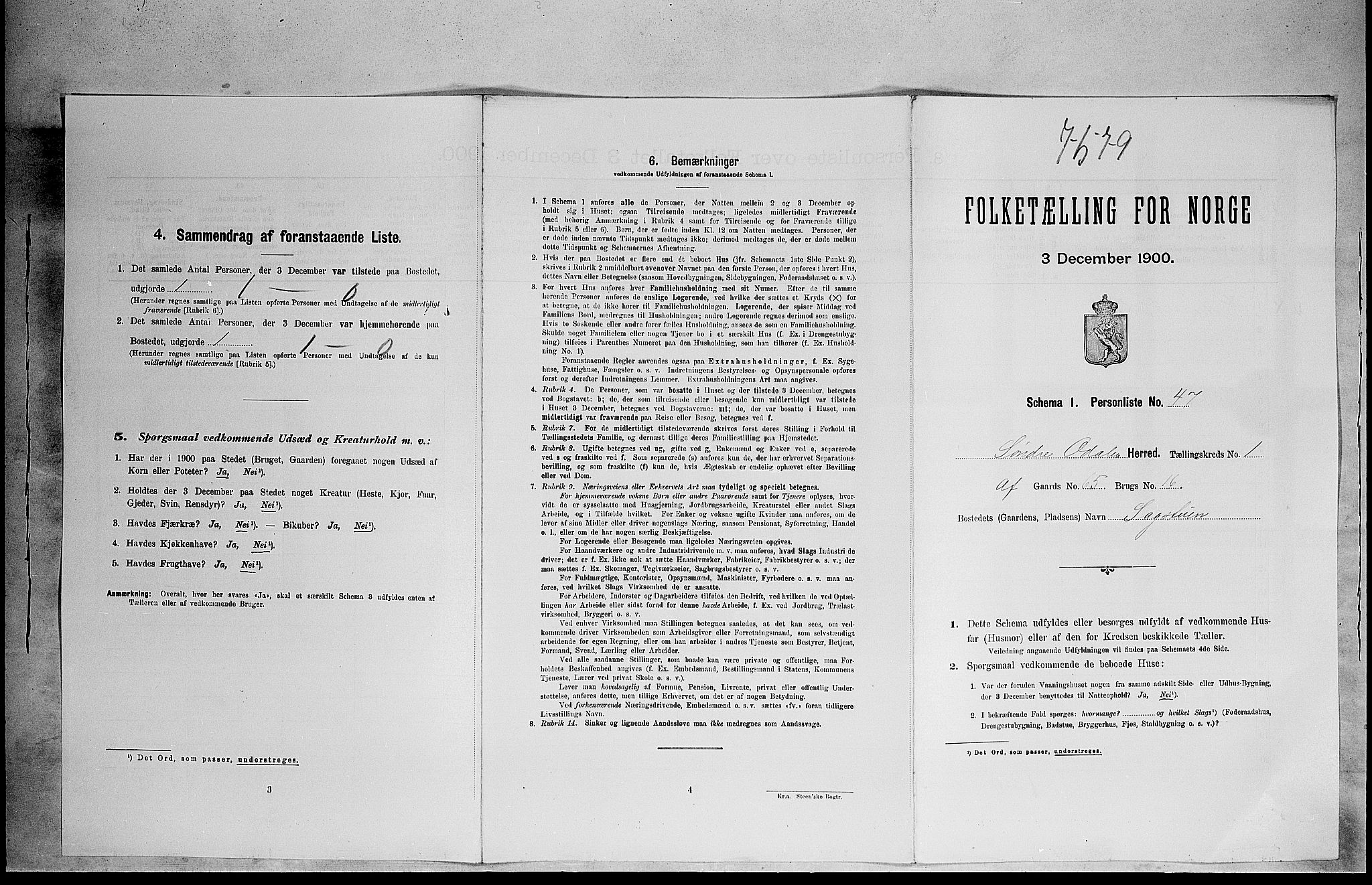 SAH, Folketelling 1900 for 0419 Sør-Odal herred, 1900, s. 254