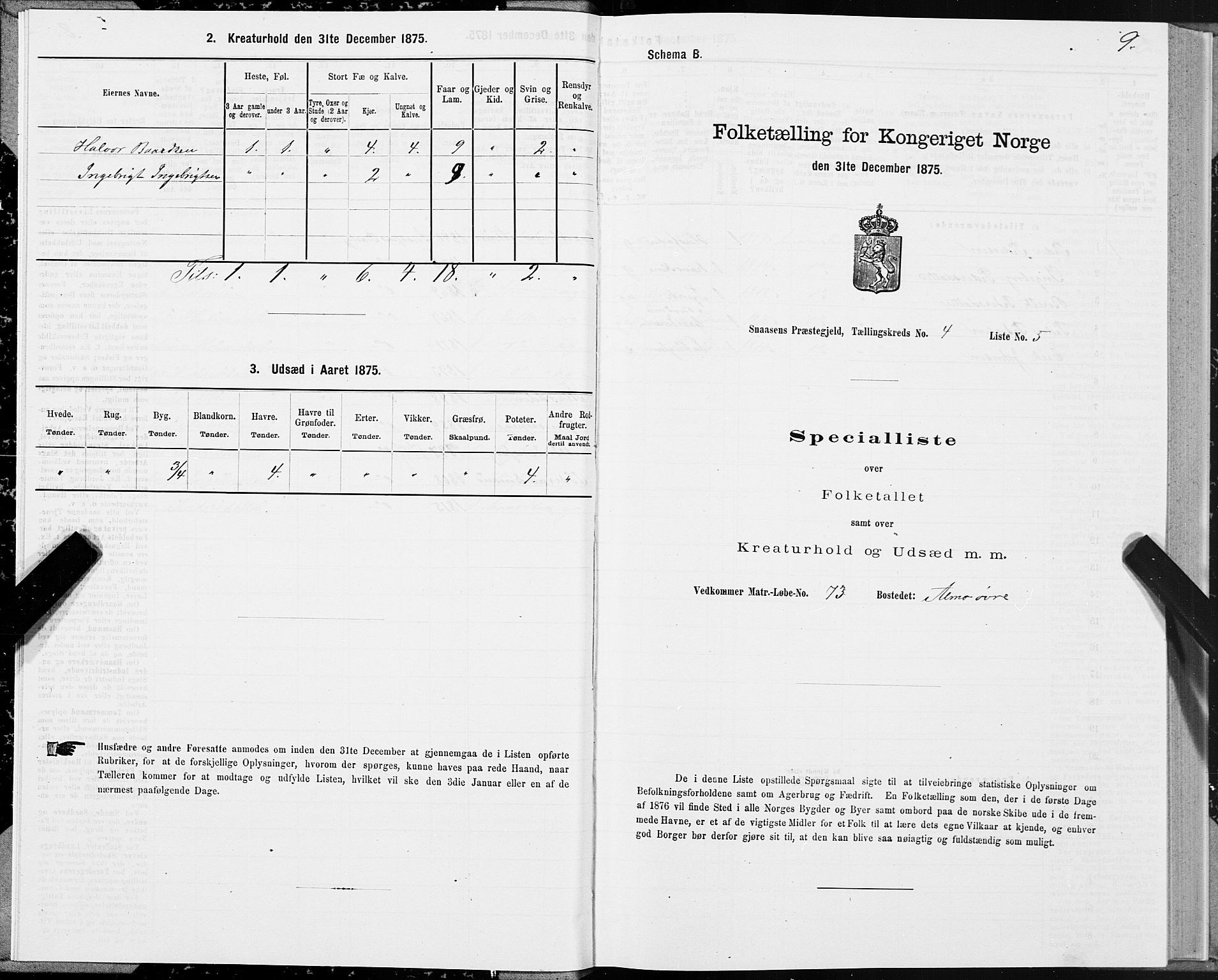 SAT, Folketelling 1875 for 1736P Snåsa prestegjeld, 1875, s. 2009