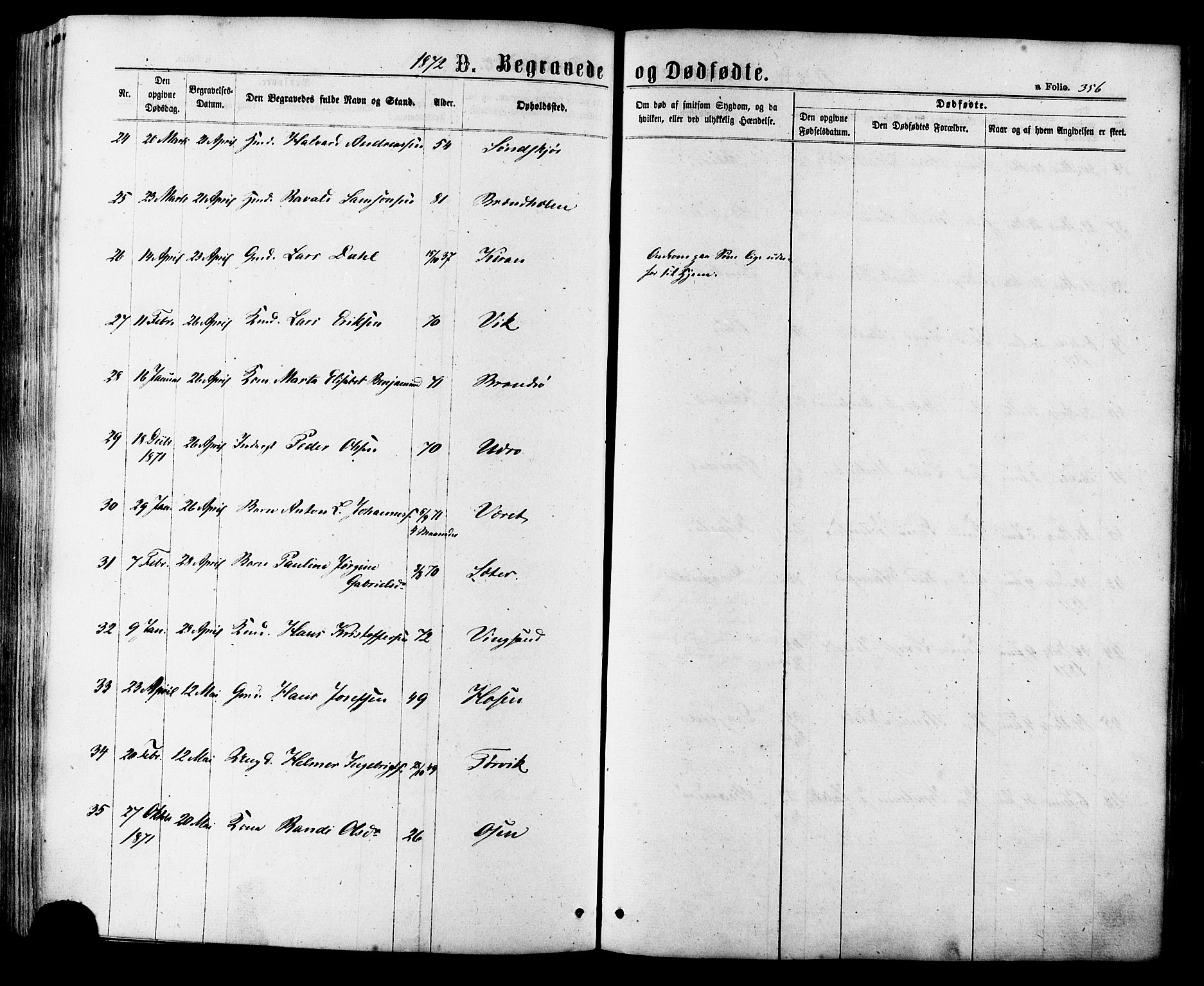 Ministerialprotokoller, klokkerbøker og fødselsregistre - Sør-Trøndelag, SAT/A-1456/657/L0706: Ministerialbok nr. 657A07, 1867-1878, s. 356