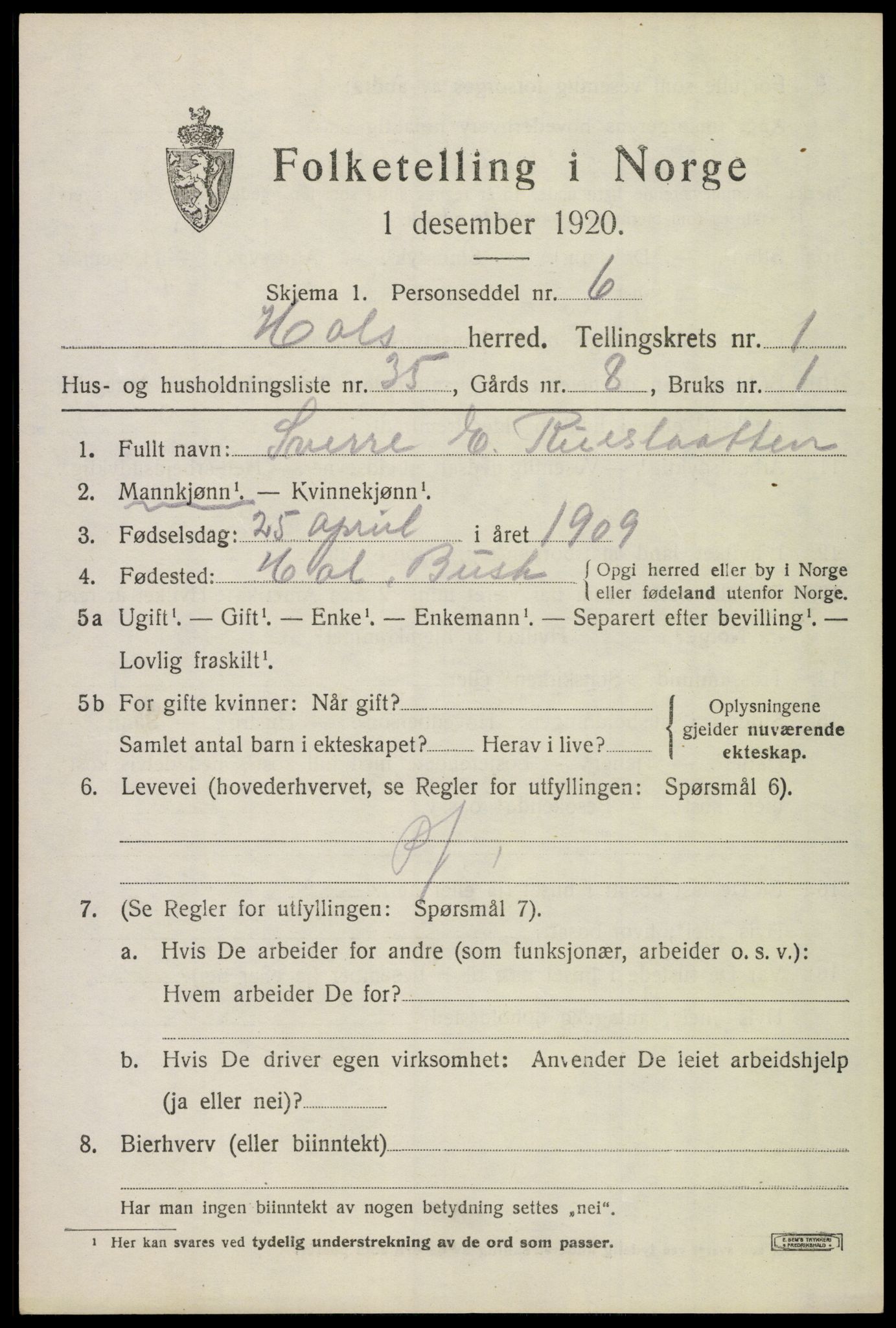 SAKO, Folketelling 1920 for 0620 Hol herred, 1920, s. 1189