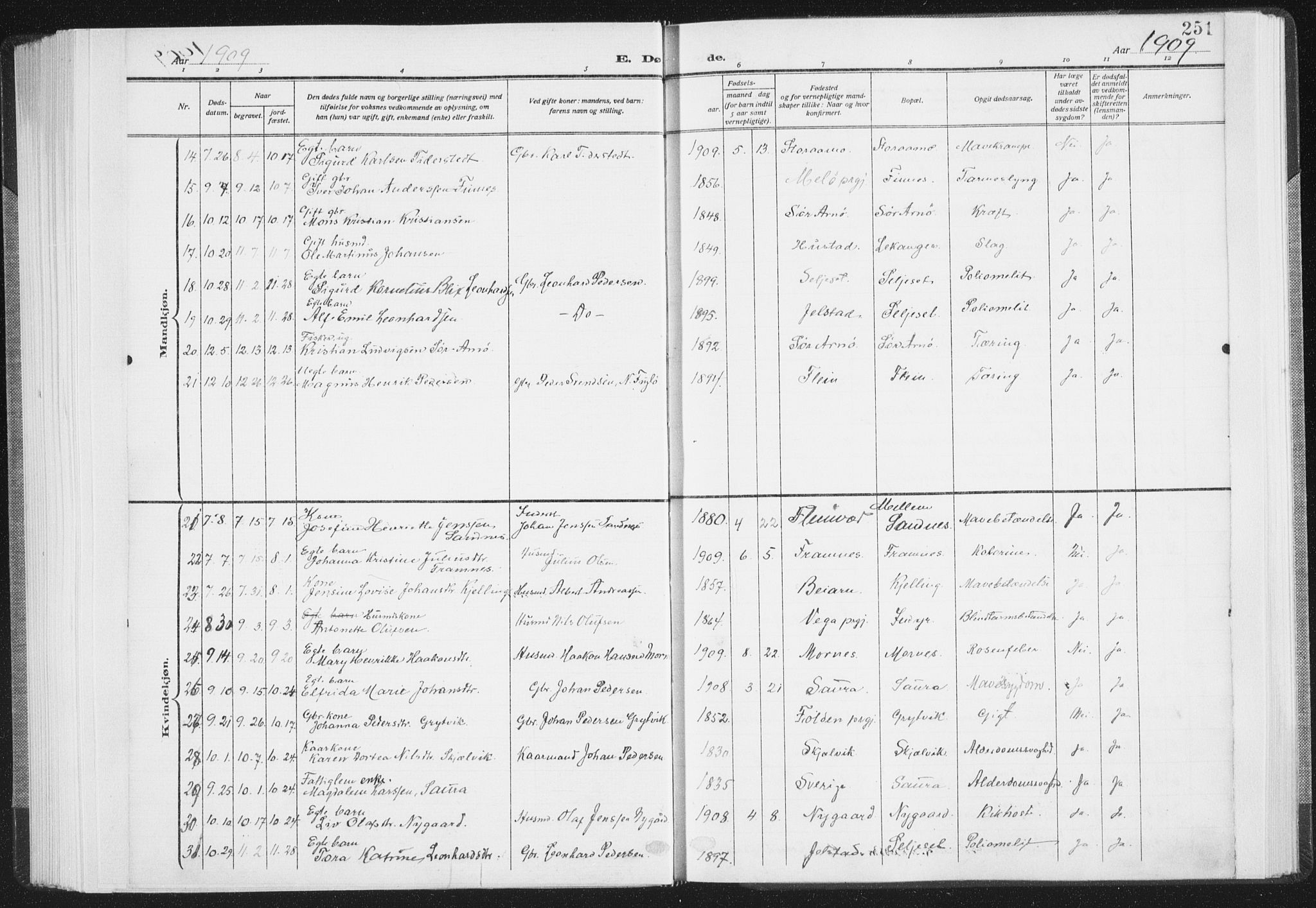 Ministerialprotokoller, klokkerbøker og fødselsregistre - Nordland, SAT/A-1459/805/L0104: Ministerialbok nr. 805A09, 1909-1926, s. 251