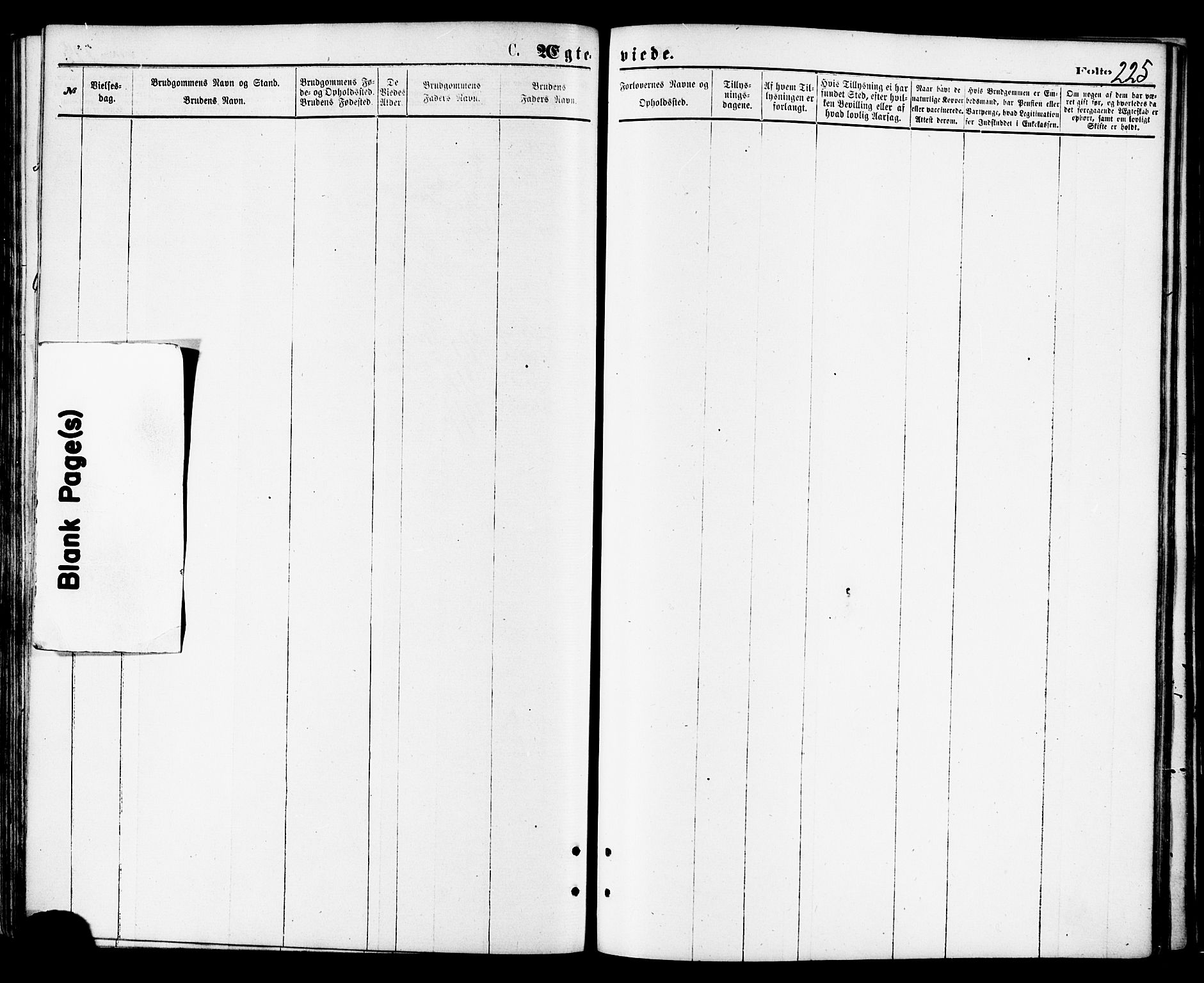Ministerialprotokoller, klokkerbøker og fødselsregistre - Nordland, AV/SAT-A-1459/810/L0149: Ministerialbok nr. 810A09 /2, 1874-1884, s. 225