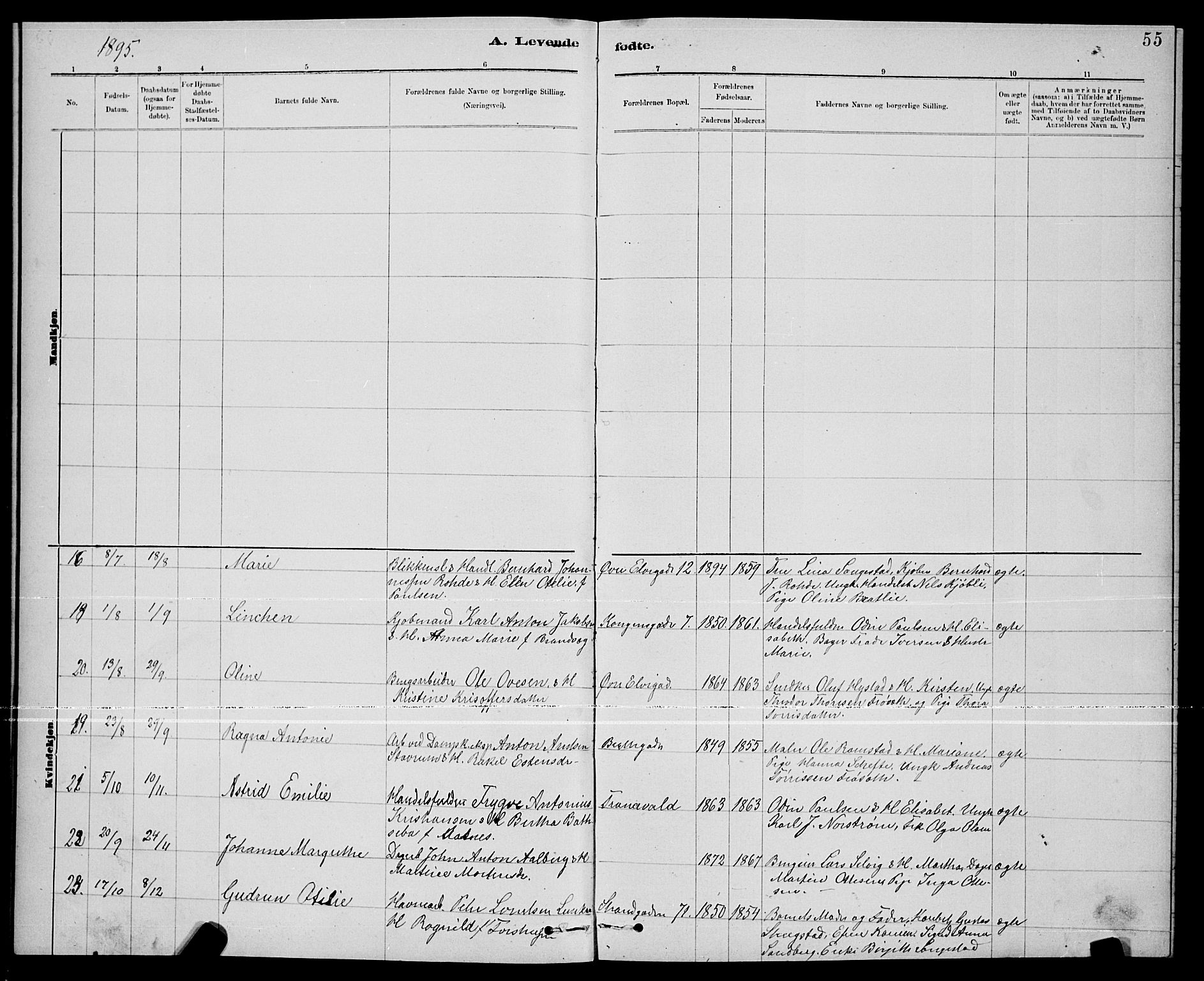 Ministerialprotokoller, klokkerbøker og fødselsregistre - Nord-Trøndelag, SAT/A-1458/739/L0374: Klokkerbok nr. 739C02, 1883-1898, s. 55