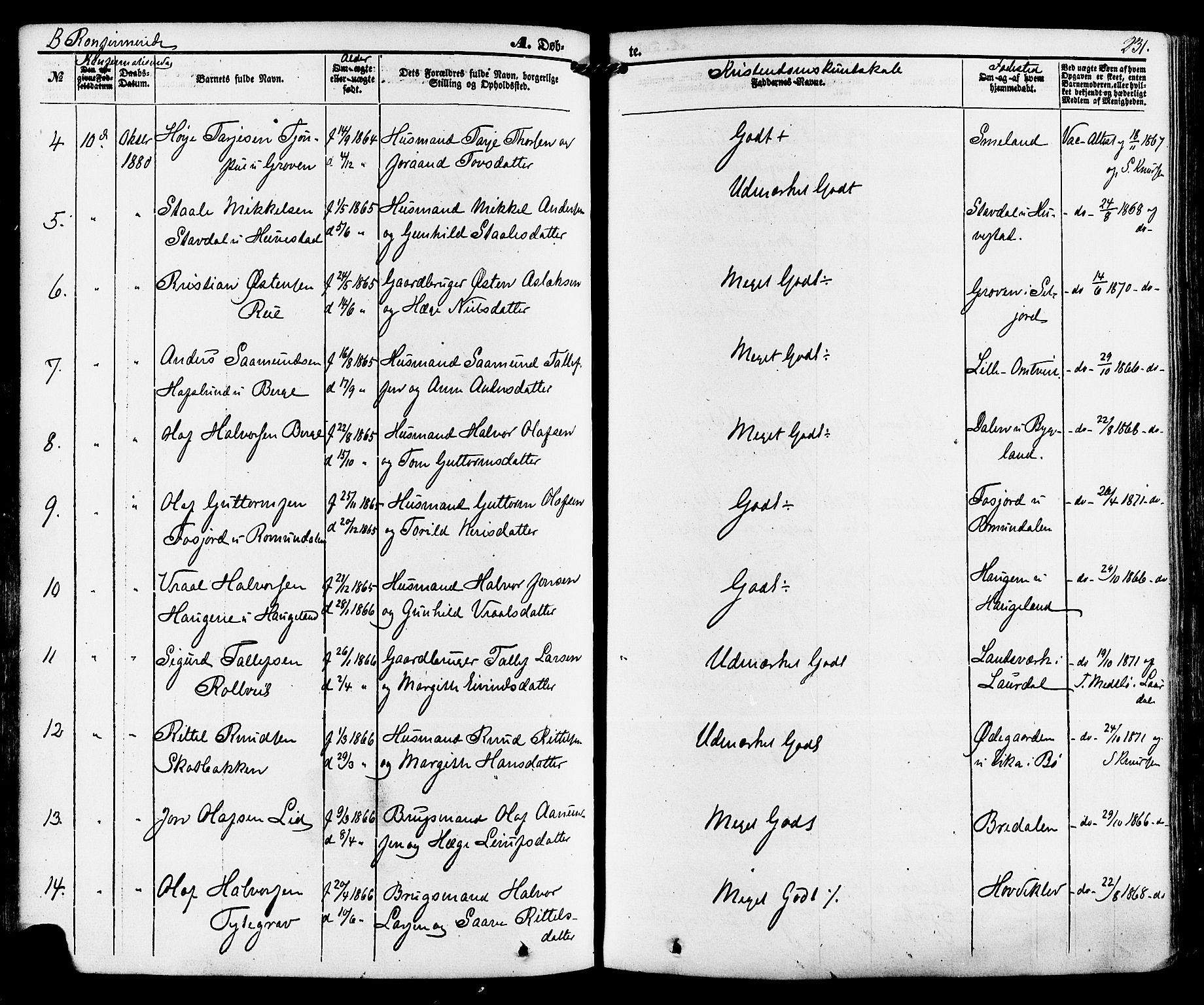 Kviteseid kirkebøker, AV/SAKO-A-276/F/Fa/L0007: Ministerialbok nr. I 7, 1859-1881, s. 231