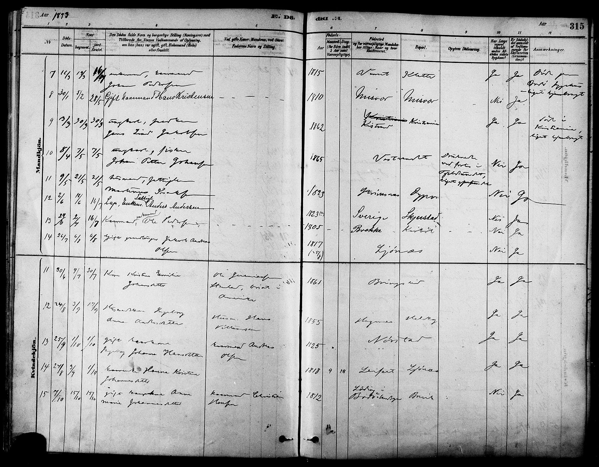 Ministerialprotokoller, klokkerbøker og fødselsregistre - Nordland, SAT/A-1459/852/L0740: Ministerialbok nr. 852A10, 1878-1894, s. 315