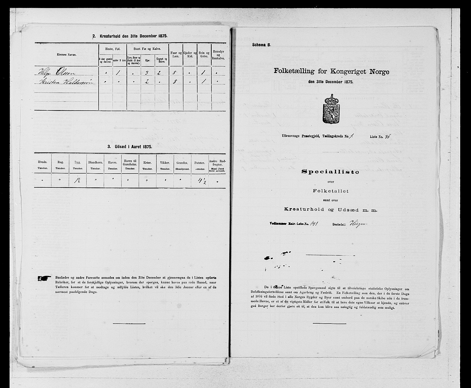 SAB, Folketelling 1875 for 1230P Ullensvang prestegjeld, 1875, s. 117