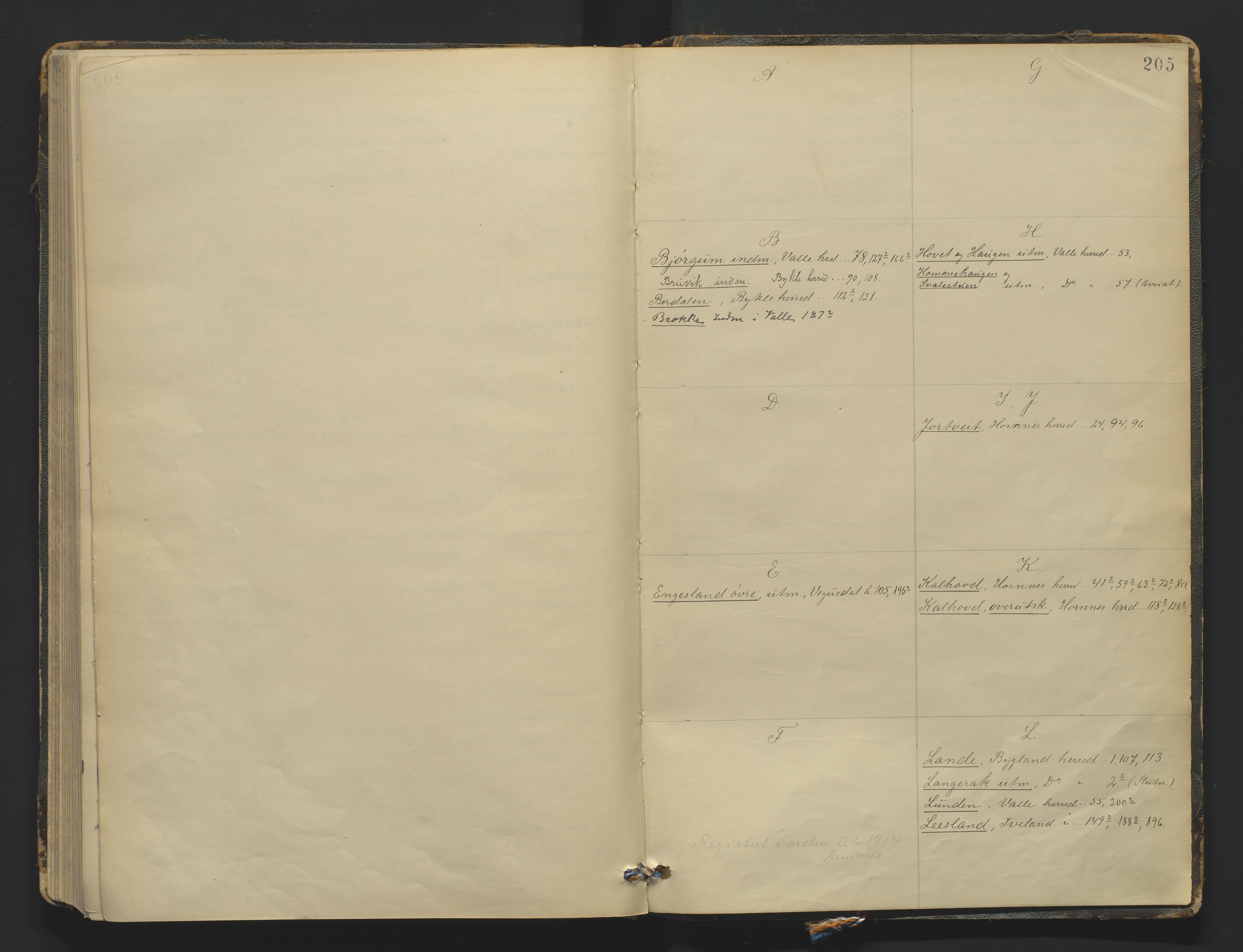 Utskiftningsformannen i Nedenes amt, AV/SAK-1541-0002/F/Fa/Fac/L0001: Jordskifteprotokoll med register, Setesdal domssokn nr 1, 1910-1915, s. 204b-205a