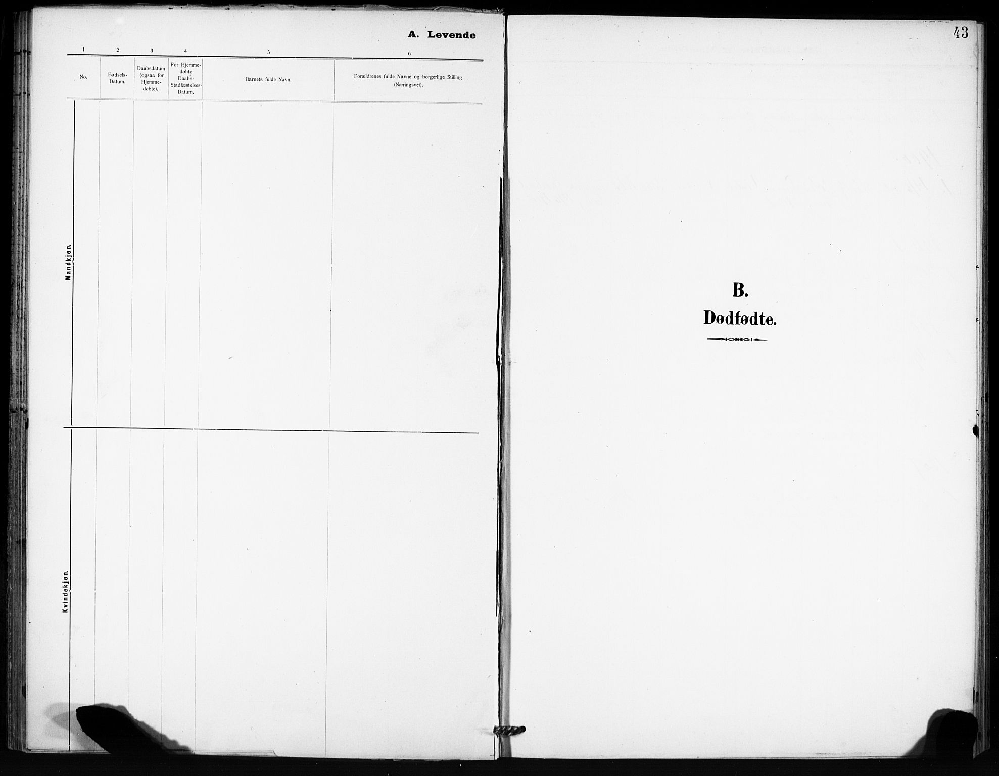 Ministerialprotokoller, klokkerbøker og fødselsregistre - Sør-Trøndelag, SAT/A-1456/666/L0787: Ministerialbok nr. 666A05, 1895-1908, s. 43