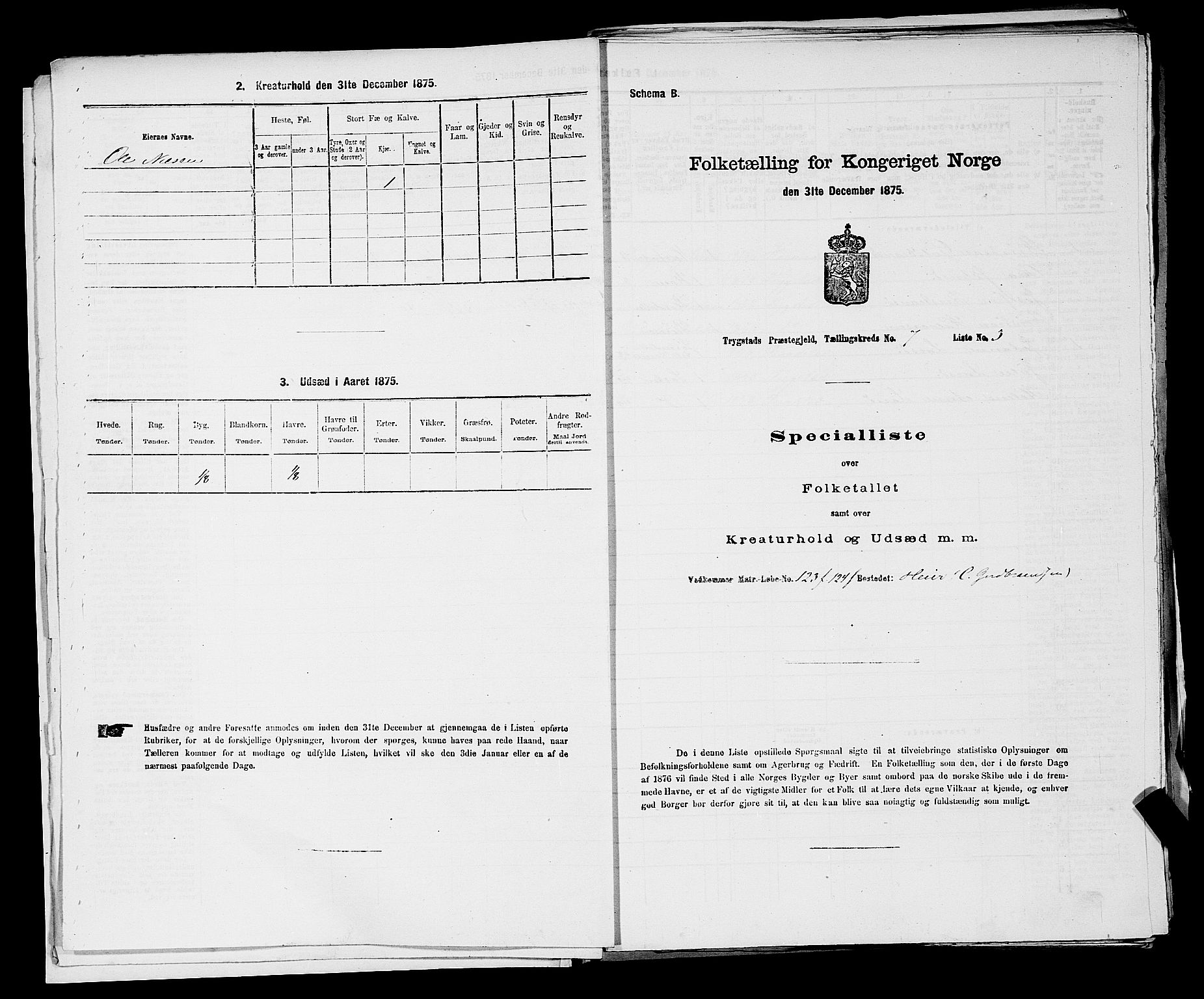 RA, Folketelling 1875 for 0122P Trøgstad prestegjeld, 1875, s. 743