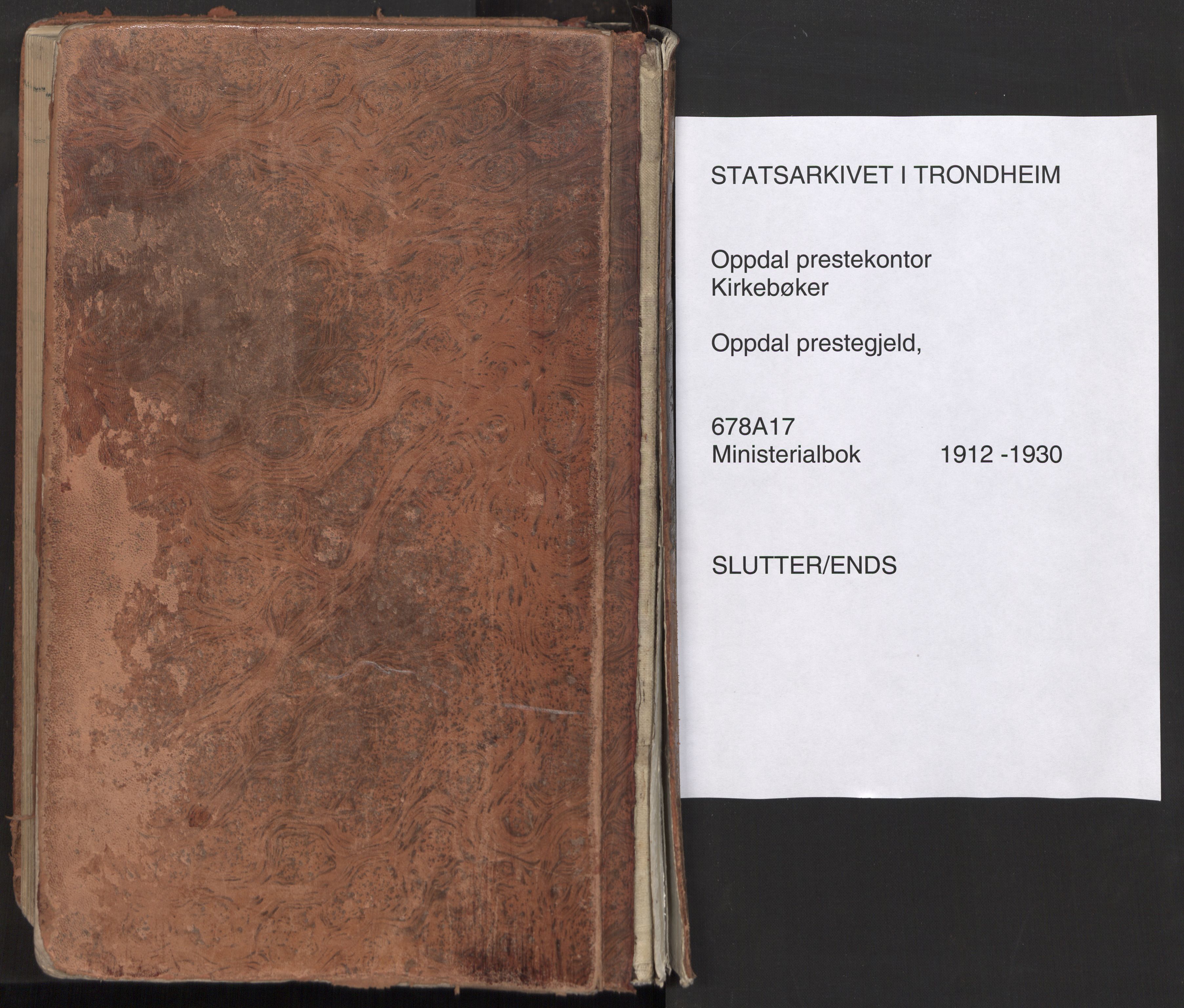 Ministerialprotokoller, klokkerbøker og fødselsregistre - Sør-Trøndelag, AV/SAT-A-1456/678/L0909: Ministerialbok nr. 678A17, 1912-1930