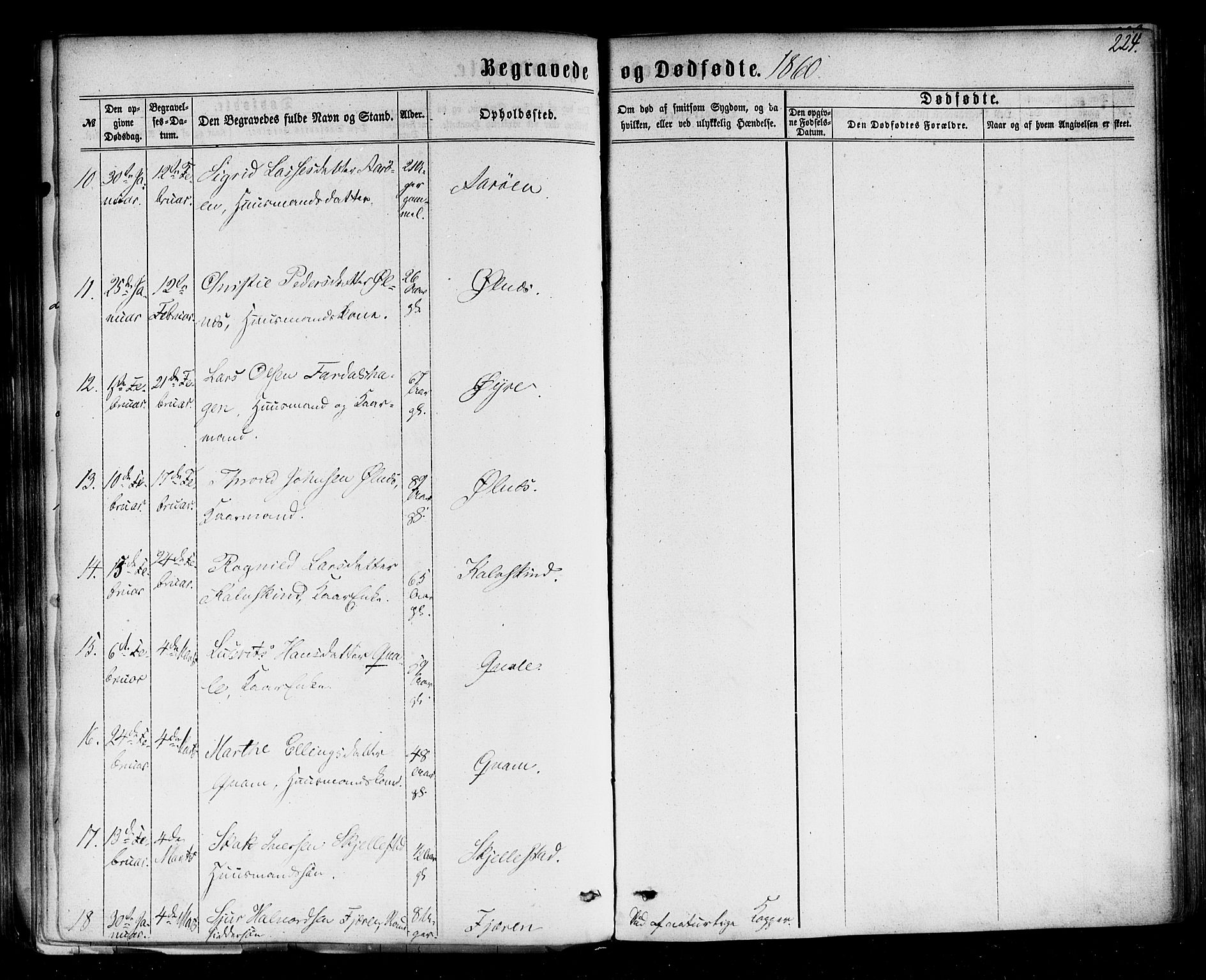 Sogndal sokneprestembete, AV/SAB-A-81301/H/Haa/Haaa/L0013: Ministerialbok nr. A 13, 1859-1877, s. 224