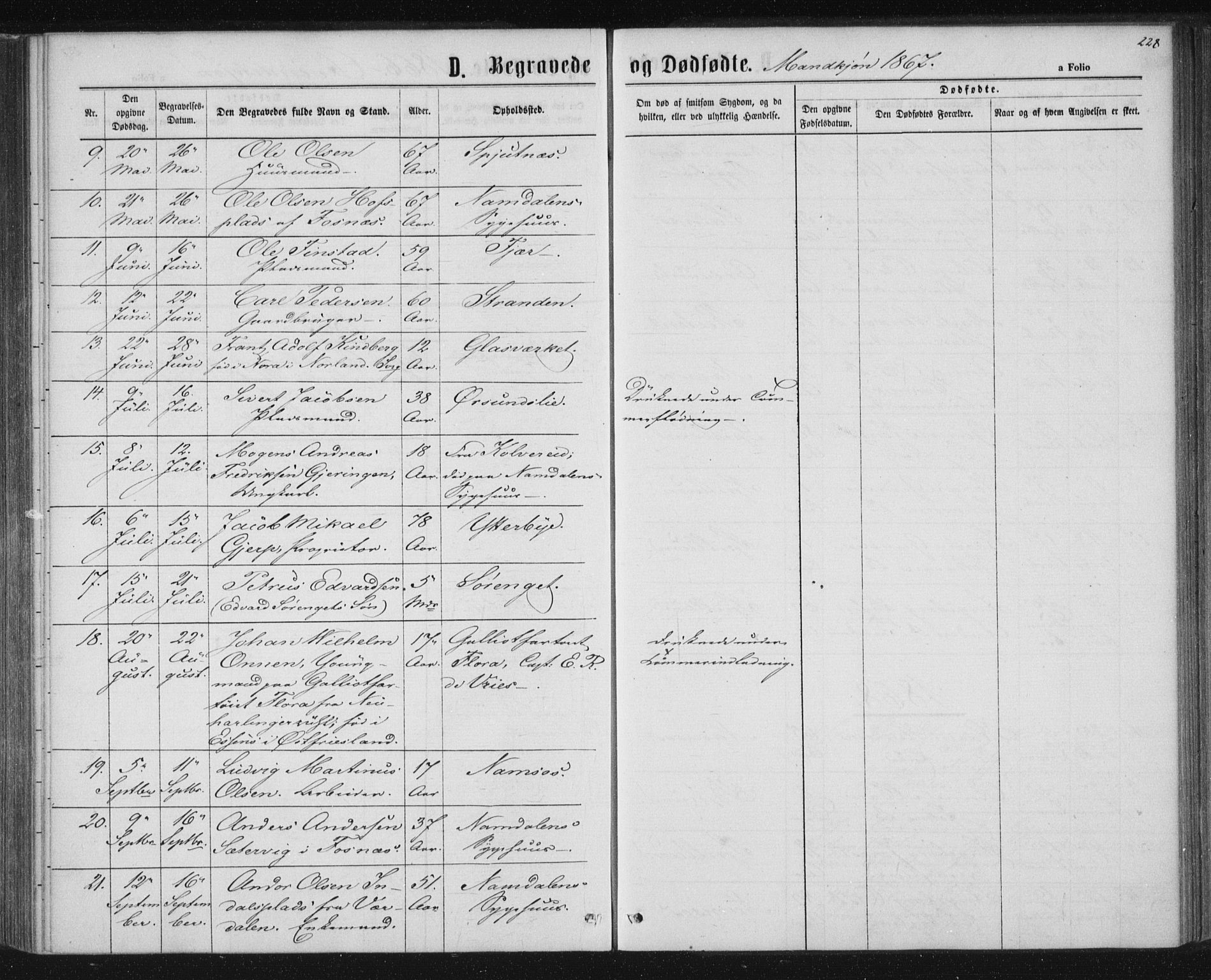 Ministerialprotokoller, klokkerbøker og fødselsregistre - Nord-Trøndelag, AV/SAT-A-1458/768/L0570: Ministerialbok nr. 768A05, 1865-1874, s. 228