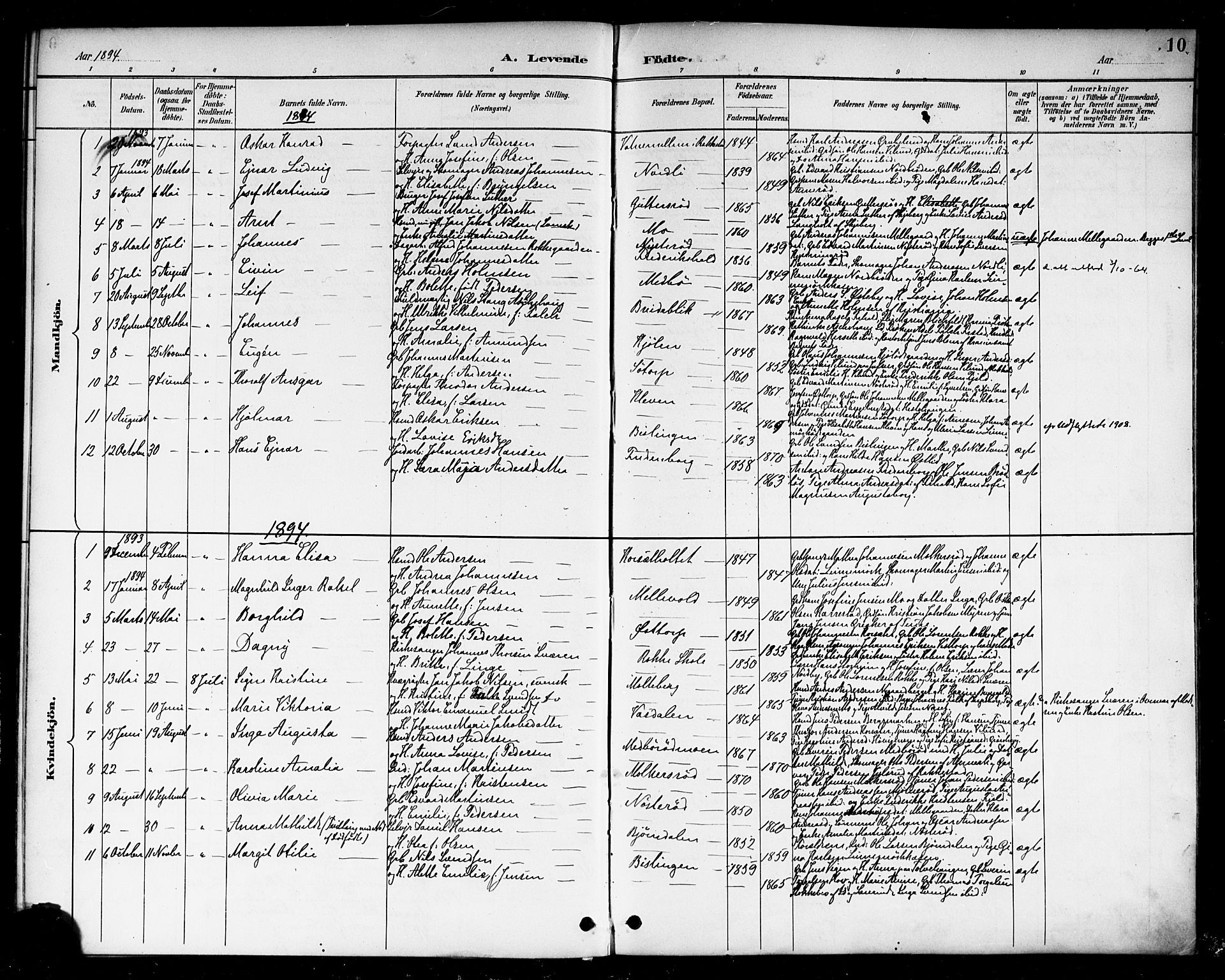 Berg prestekontor Kirkebøker, AV/SAO-A-10902/F/Fc/L0002: Ministerialbok nr. III 2, 1888-1901, s. 10