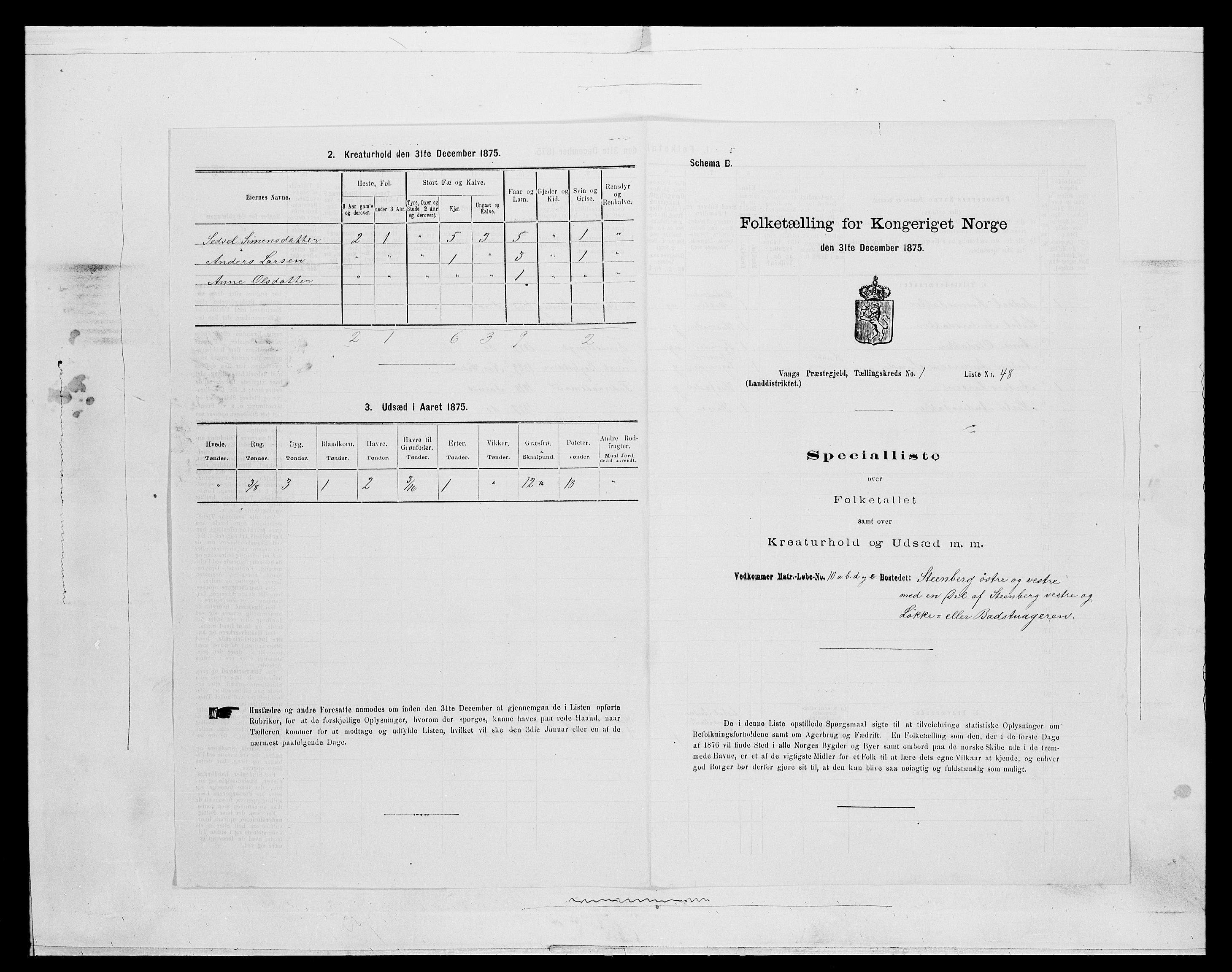 SAH, Folketelling 1875 for 0414L Vang prestegjeld, Vang sokn og Furnes sokn, 1875, s. 260