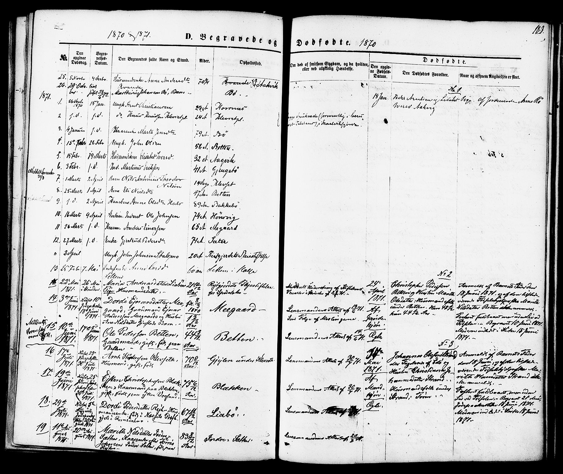 Ministerialprotokoller, klokkerbøker og fødselsregistre - Møre og Romsdal, SAT/A-1454/576/L0884: Ministerialbok nr. 576A02, 1865-1879, s. 183