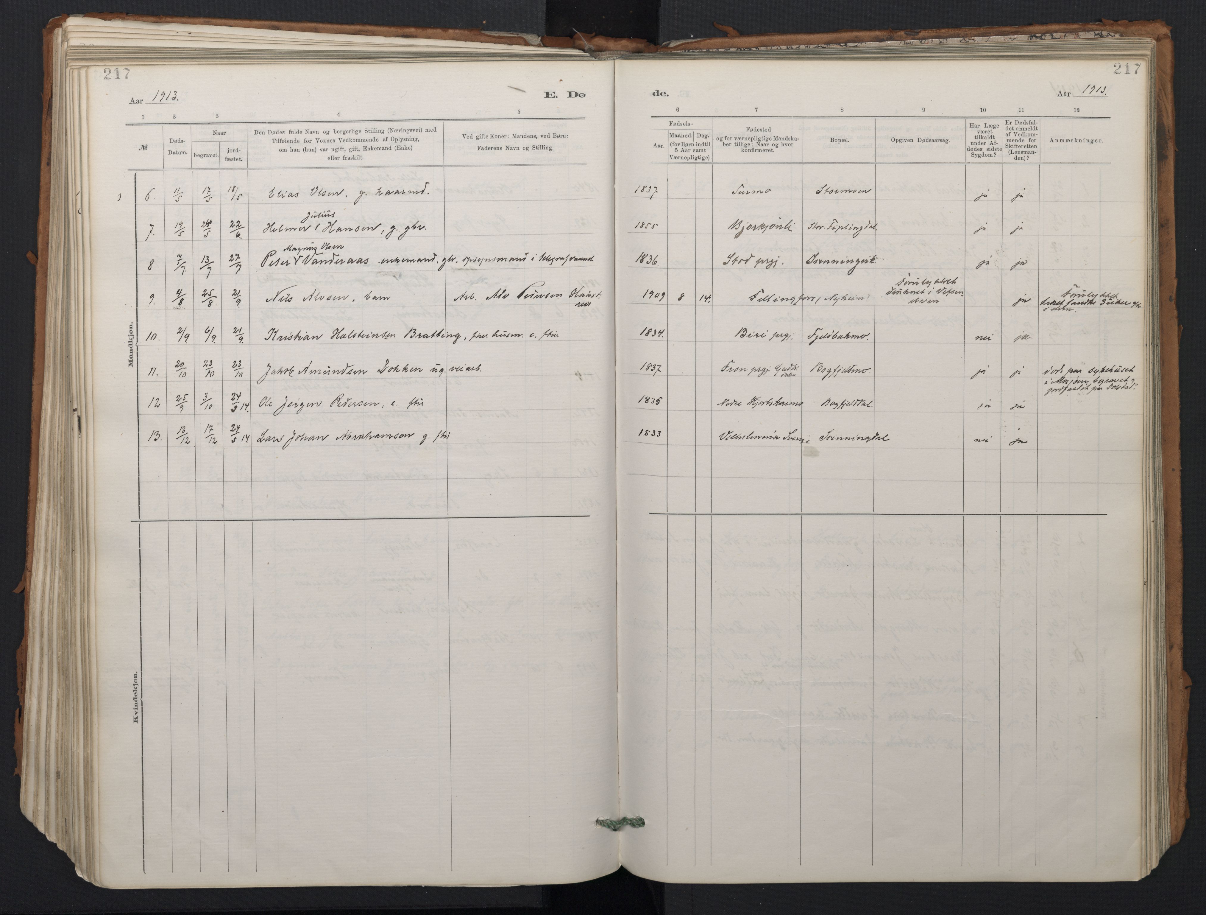 Ministerialprotokoller, klokkerbøker og fødselsregistre - Nordland, AV/SAT-A-1459/824/L0338: Ministerialbok nr. 824A01, 1880-1915, s. 217