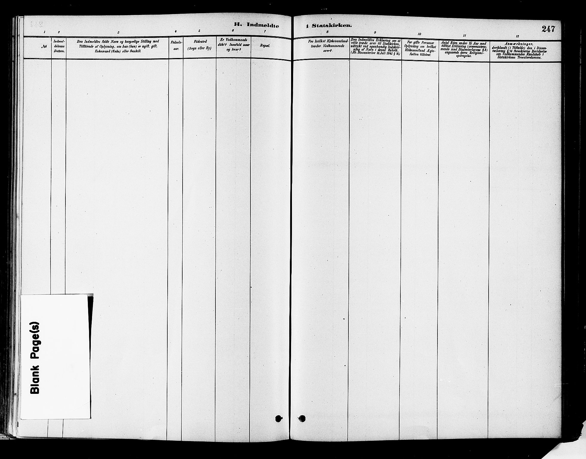 Flesberg kirkebøker, AV/SAKO-A-18/F/Fa/L0008: Ministerialbok nr. I 8, 1879-1899, s. 247