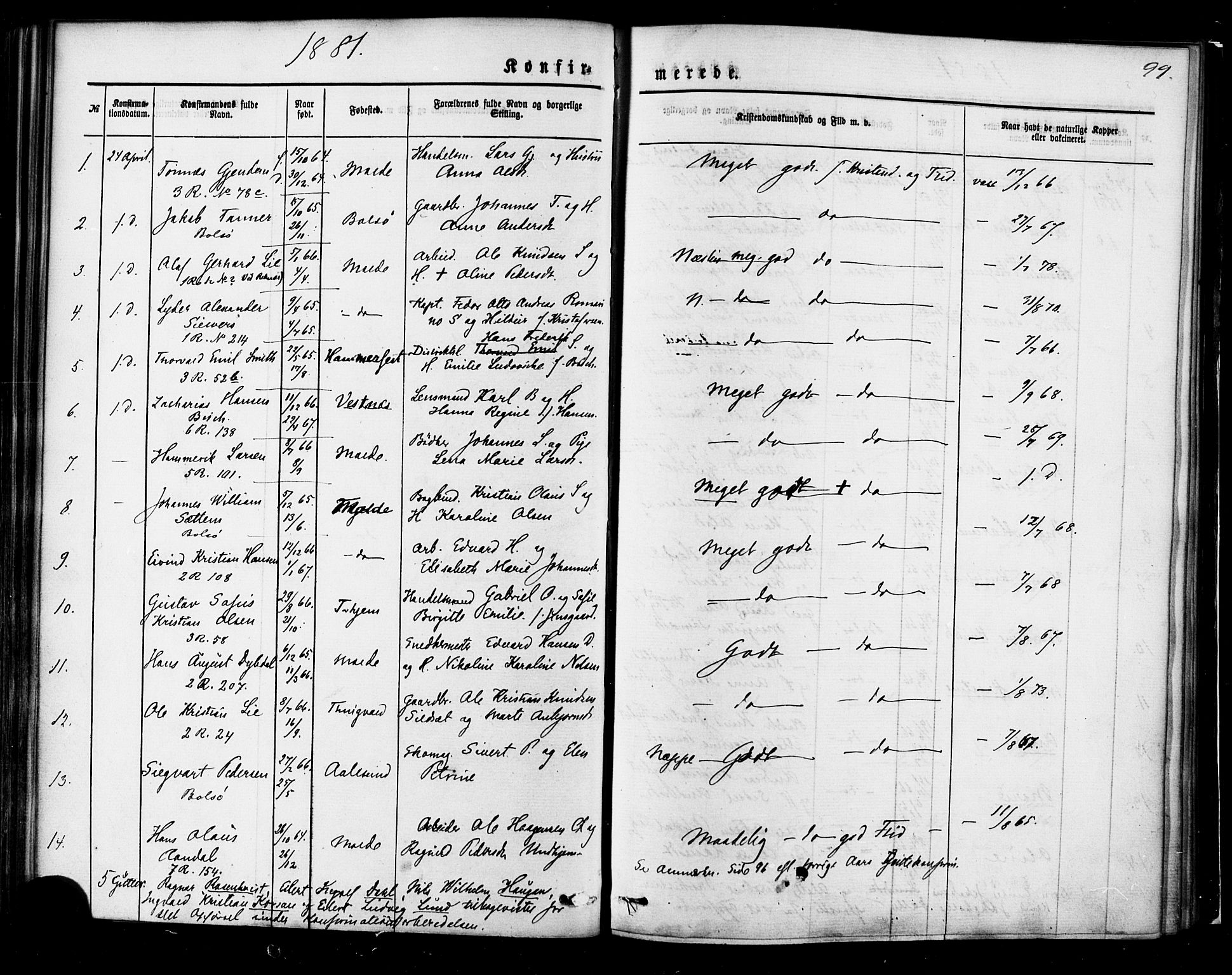 Ministerialprotokoller, klokkerbøker og fødselsregistre - Møre og Romsdal, AV/SAT-A-1454/558/L0691: Ministerialbok nr. 558A05, 1873-1886, s. 99