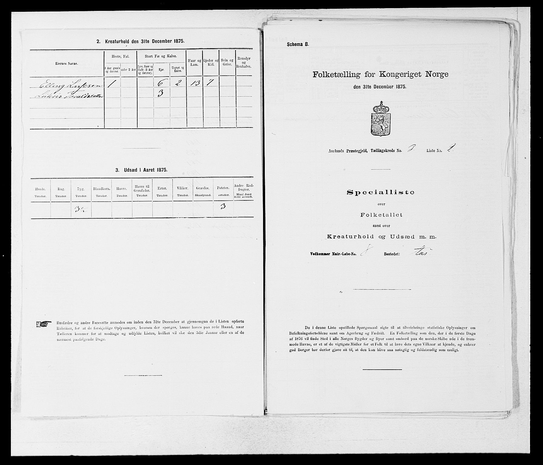 SAB, Folketelling 1875 for 1421P Aurland prestegjeld, 1875, s. 253