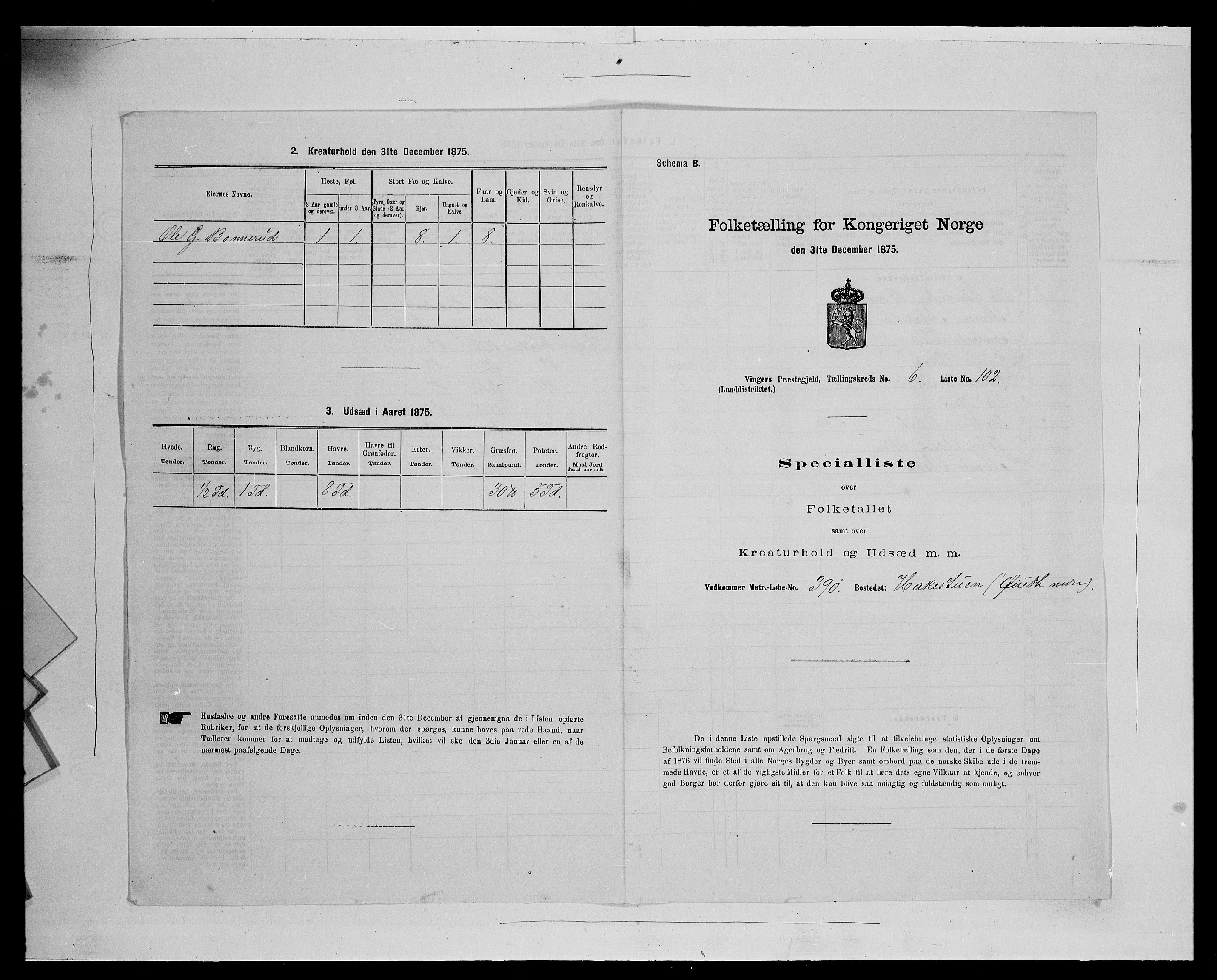 SAH, Folketelling 1875 for 0421L Vinger prestegjeld, Vinger sokn og Austmarka sokn, 1875, s. 1146