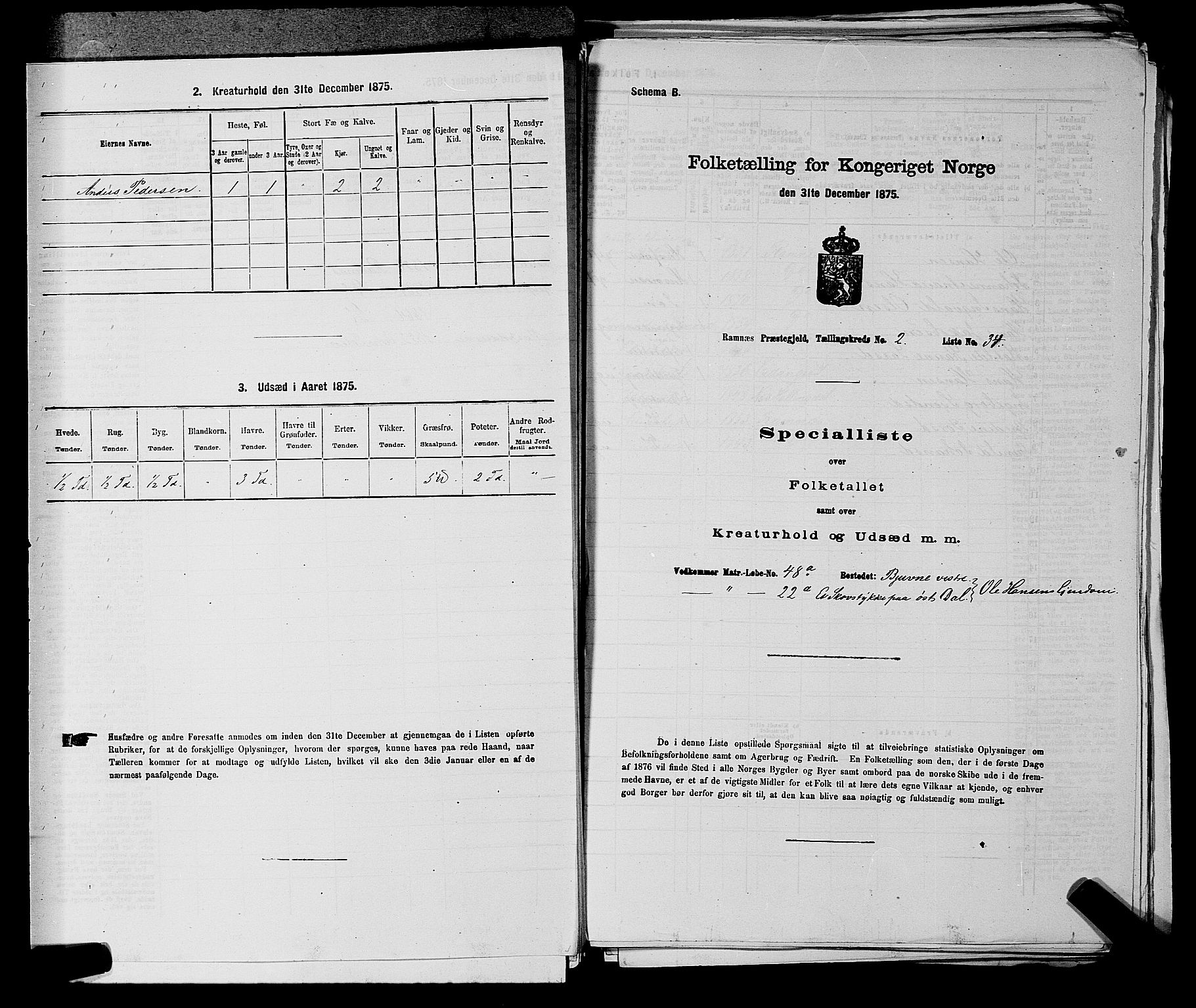 SAKO, Folketelling 1875 for 0718P Ramnes prestegjeld, 1875, s. 217