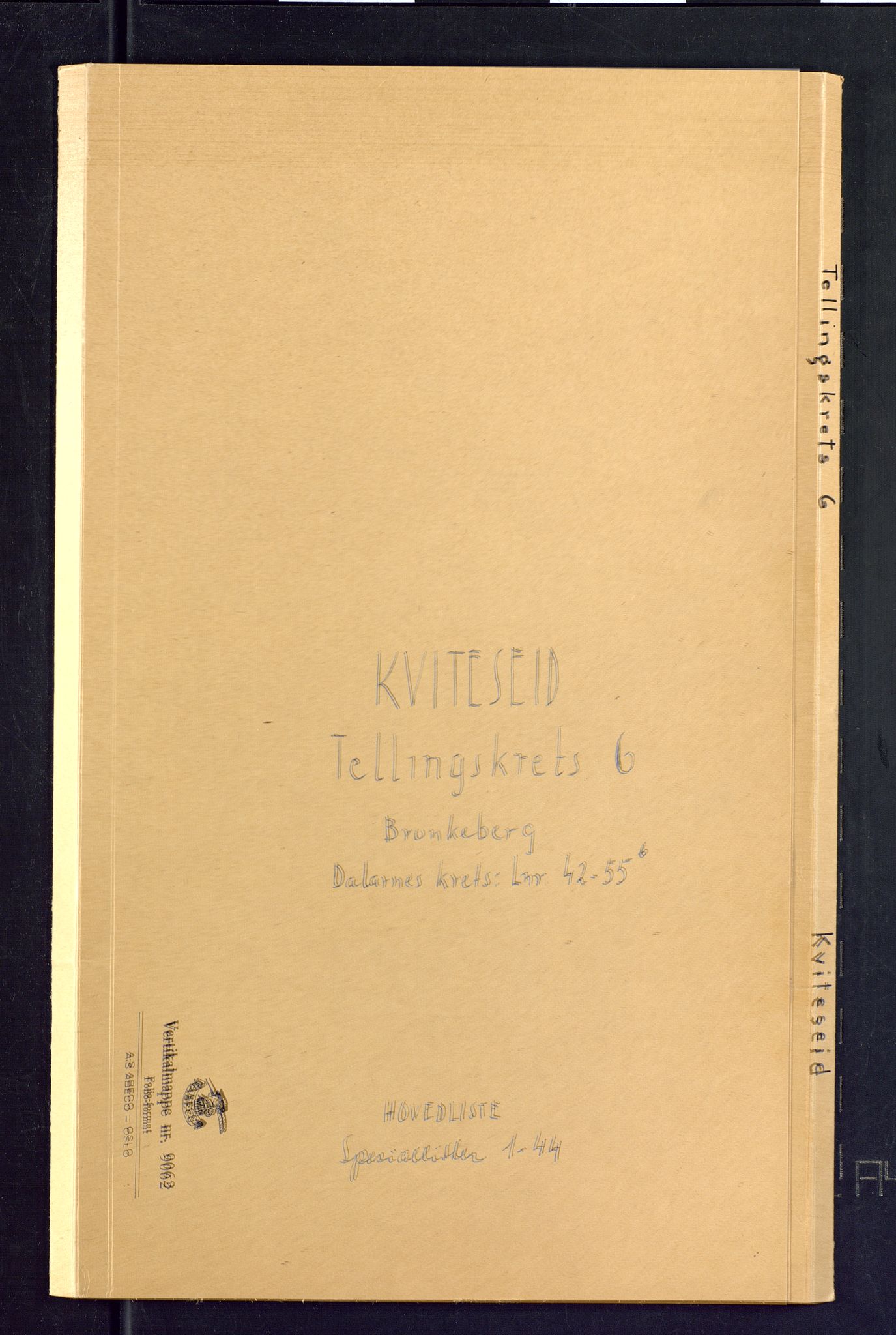 SAKO, Folketelling 1875 for 0829P Kviteseid prestegjeld, 1875, s. 17