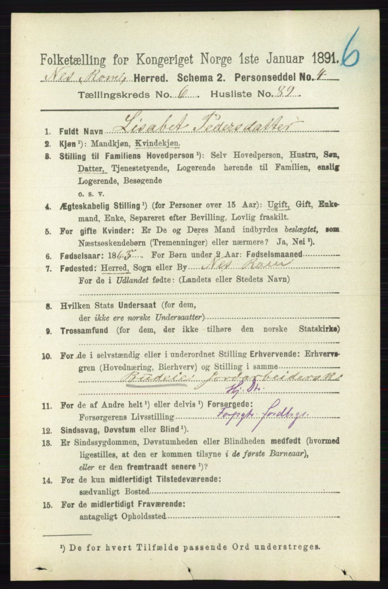 RA, Folketelling 1891 for 0236 Nes herred, 1891, s. 3930