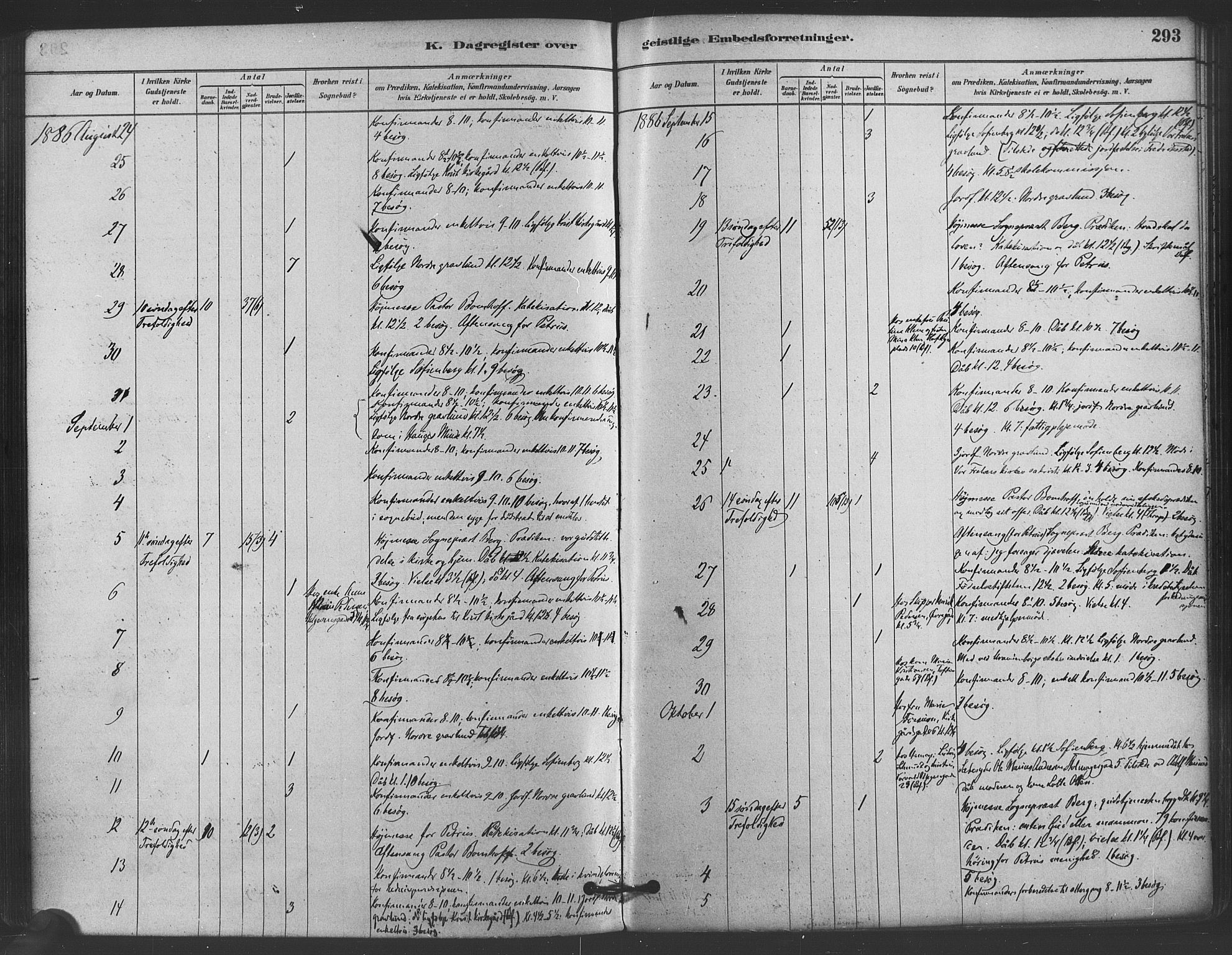 Paulus prestekontor Kirkebøker, AV/SAO-A-10871/F/Fa/L0005: Ministerialbok nr. 5, 1879-1889, s. 293