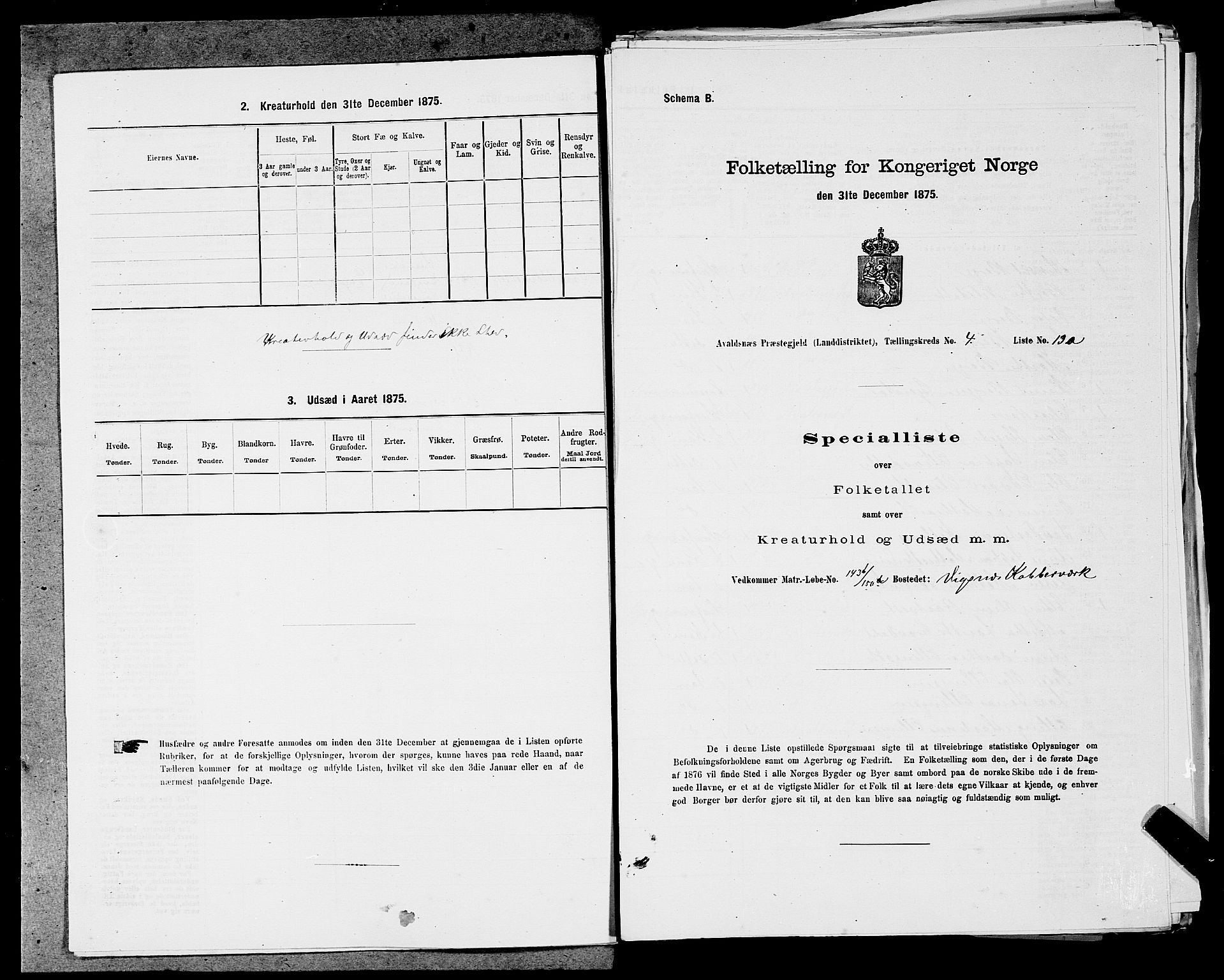 SAST, Folketelling 1875 for 1147L Avaldsnes prestegjeld, Avaldsnes sokn og Kopervik landsokn, 1875, s. 510
