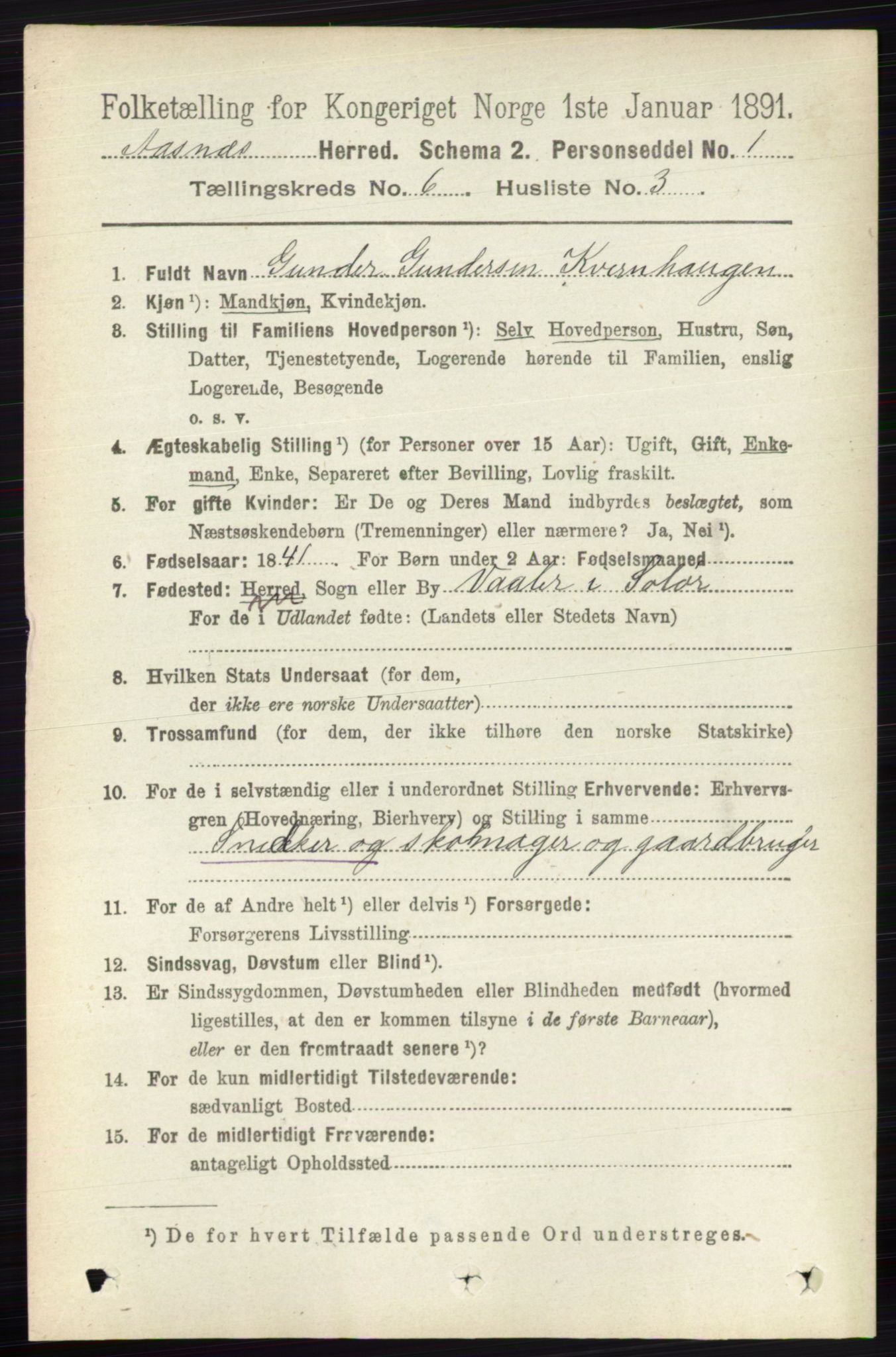RA, Folketelling 1891 for 0425 Åsnes herred, 1891, s. 2804