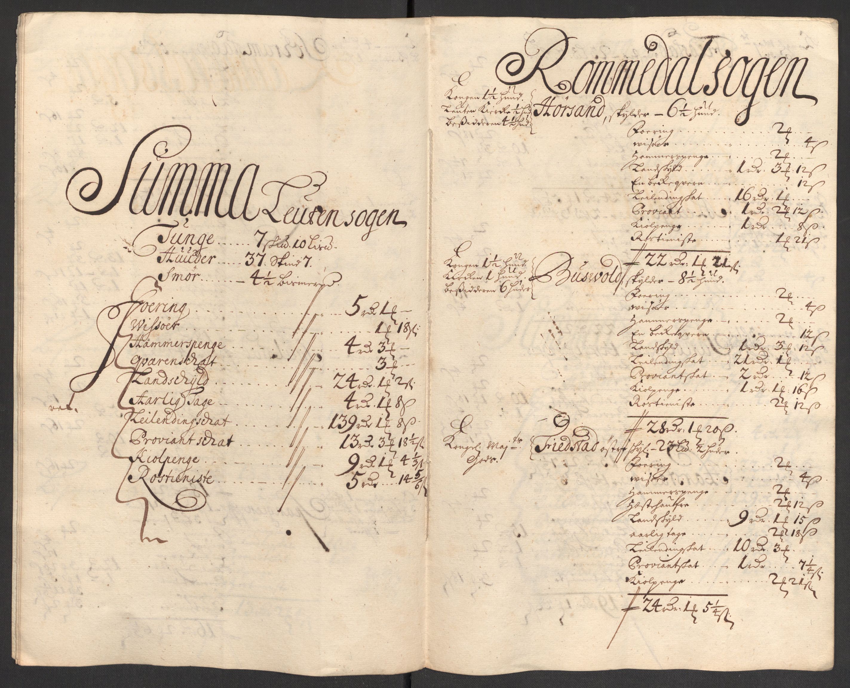 Rentekammeret inntil 1814, Reviderte regnskaper, Fogderegnskap, AV/RA-EA-4092/R16/L1042: Fogderegnskap Hedmark, 1705, s. 100