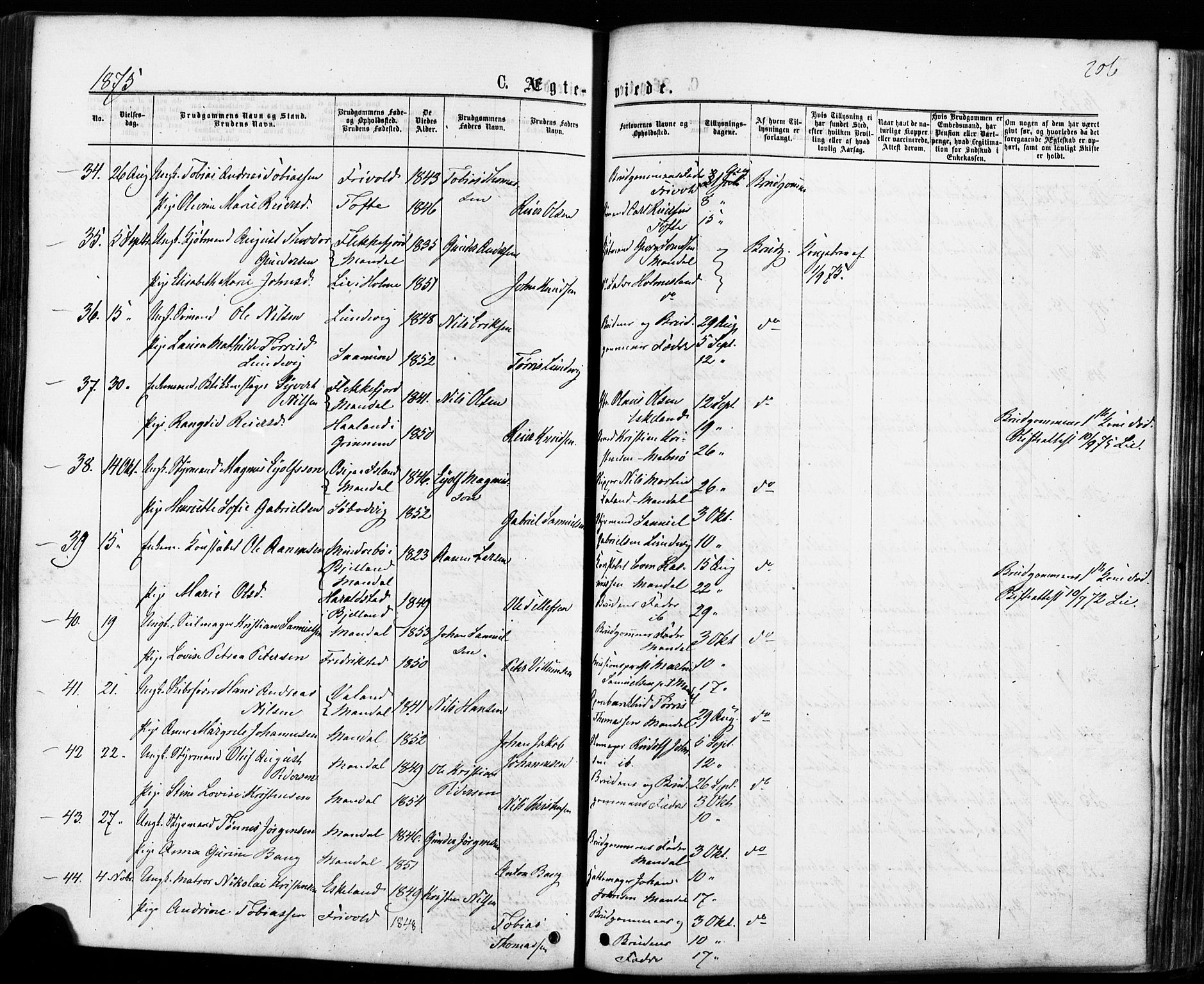 Mandal sokneprestkontor, AV/SAK-1111-0030/F/Fa/Faa/L0015: Ministerialbok nr. A 15, 1873-1879, s. 206