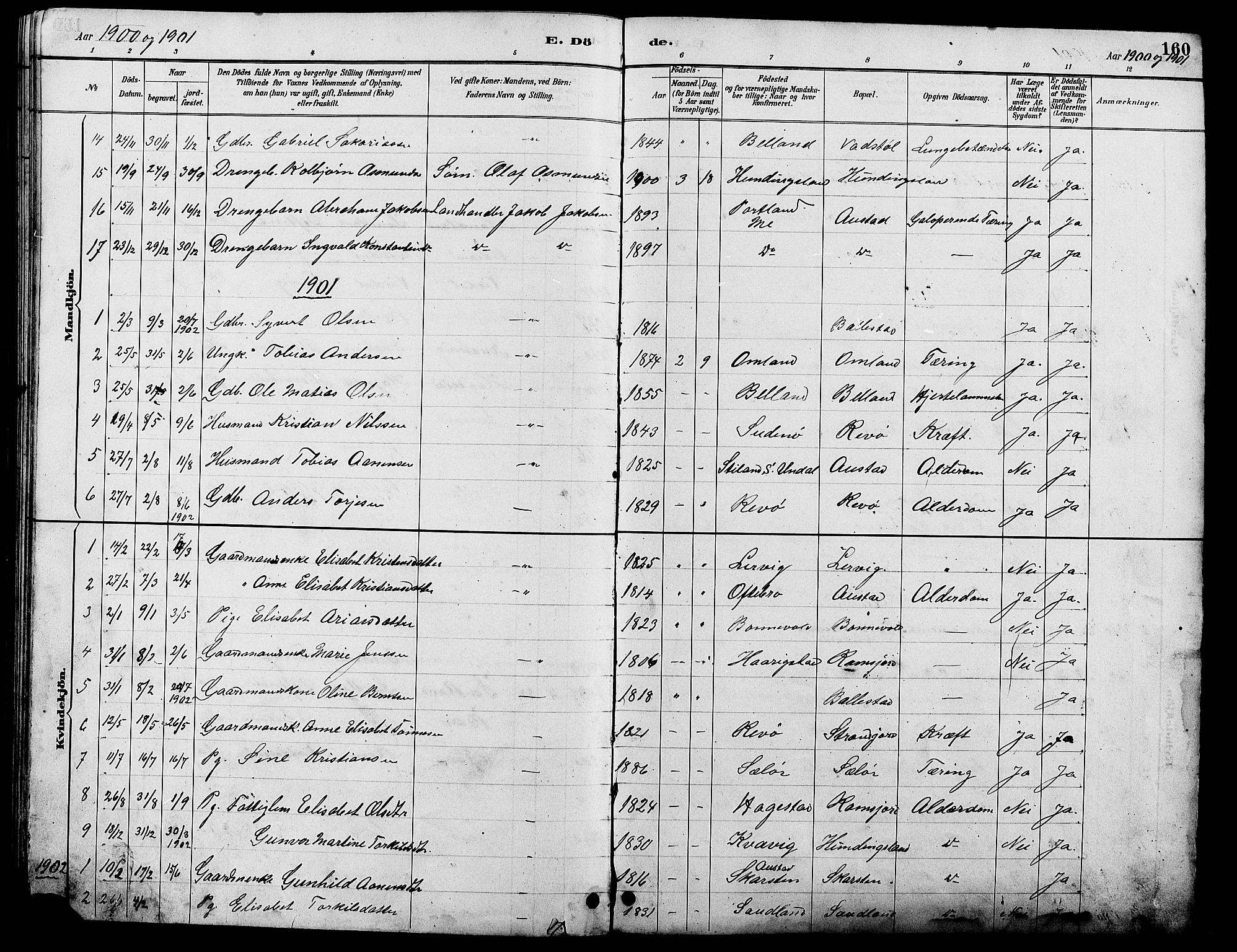 Lyngdal sokneprestkontor, AV/SAK-1111-0029/F/Fb/Fba/L0003: Klokkerbok nr. B 3, 1886-1903, s. 160