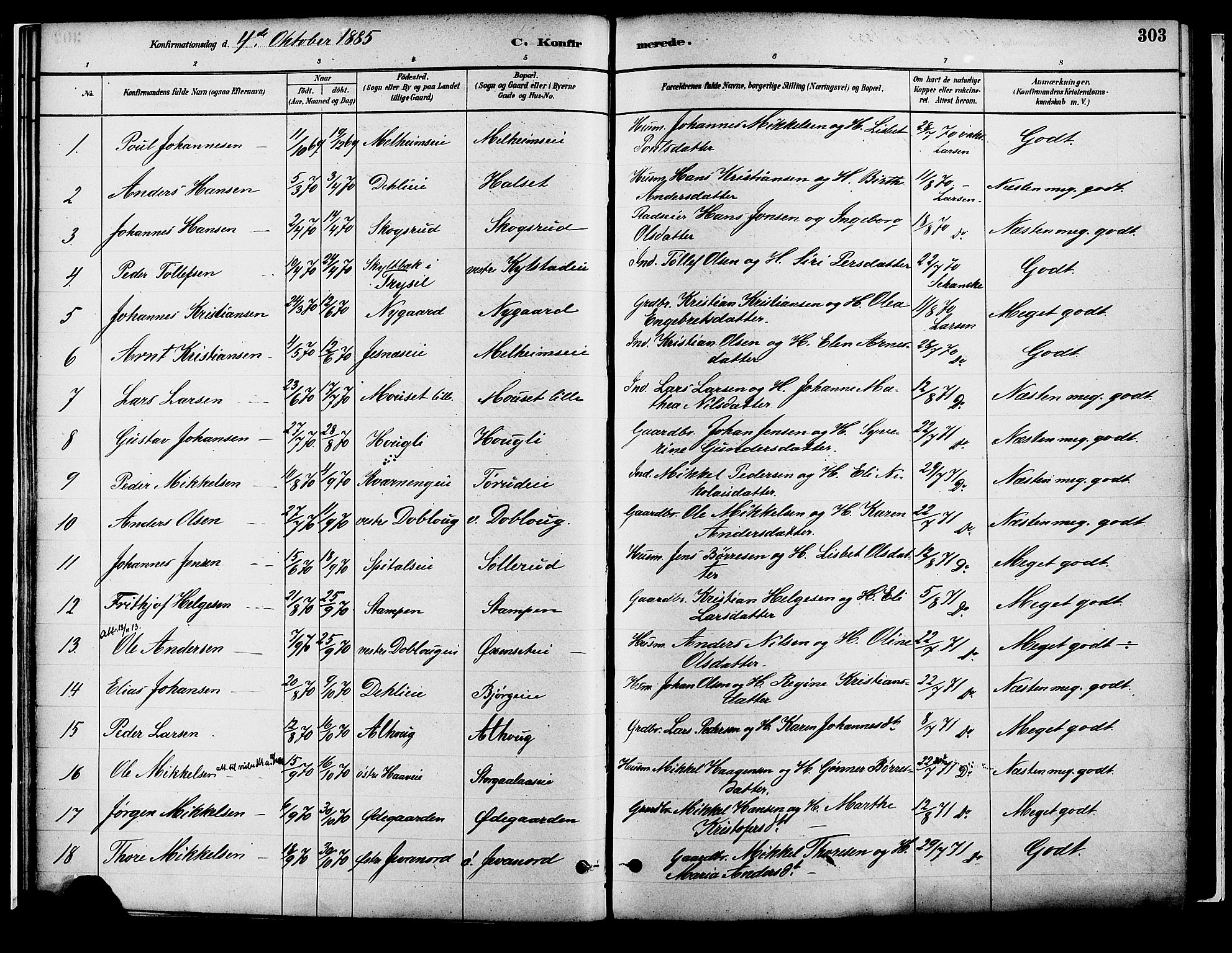 Vang prestekontor, Hedmark, AV/SAH-PREST-008/H/Ha/Haa/L0018B: Ministerialbok nr. 18B, 1880-1906, s. 303