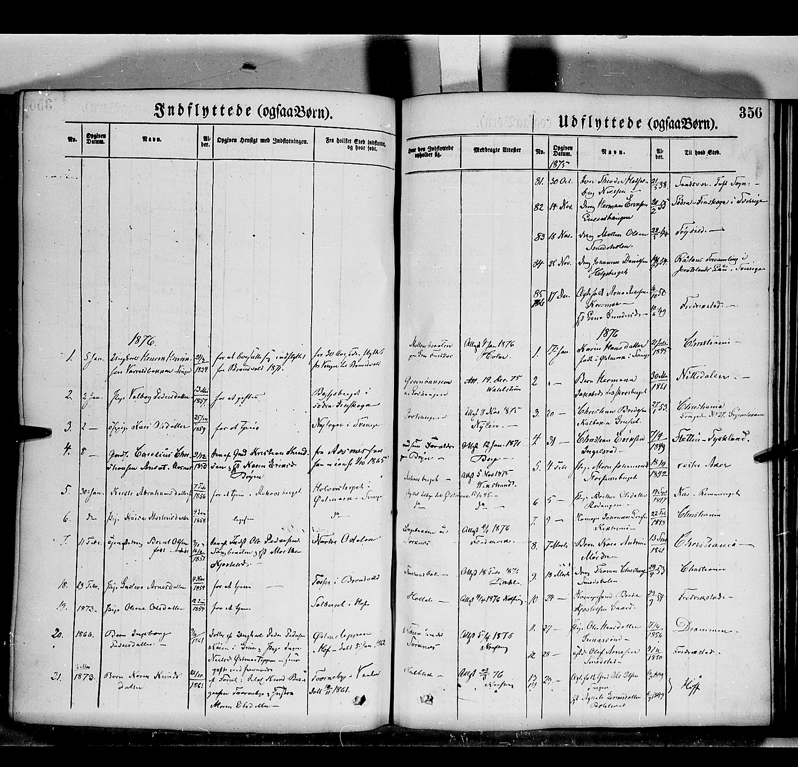 Grue prestekontor, AV/SAH-PREST-036/H/Ha/Haa/L0011: Ministerialbok nr. 11, 1873-1880, s. 356