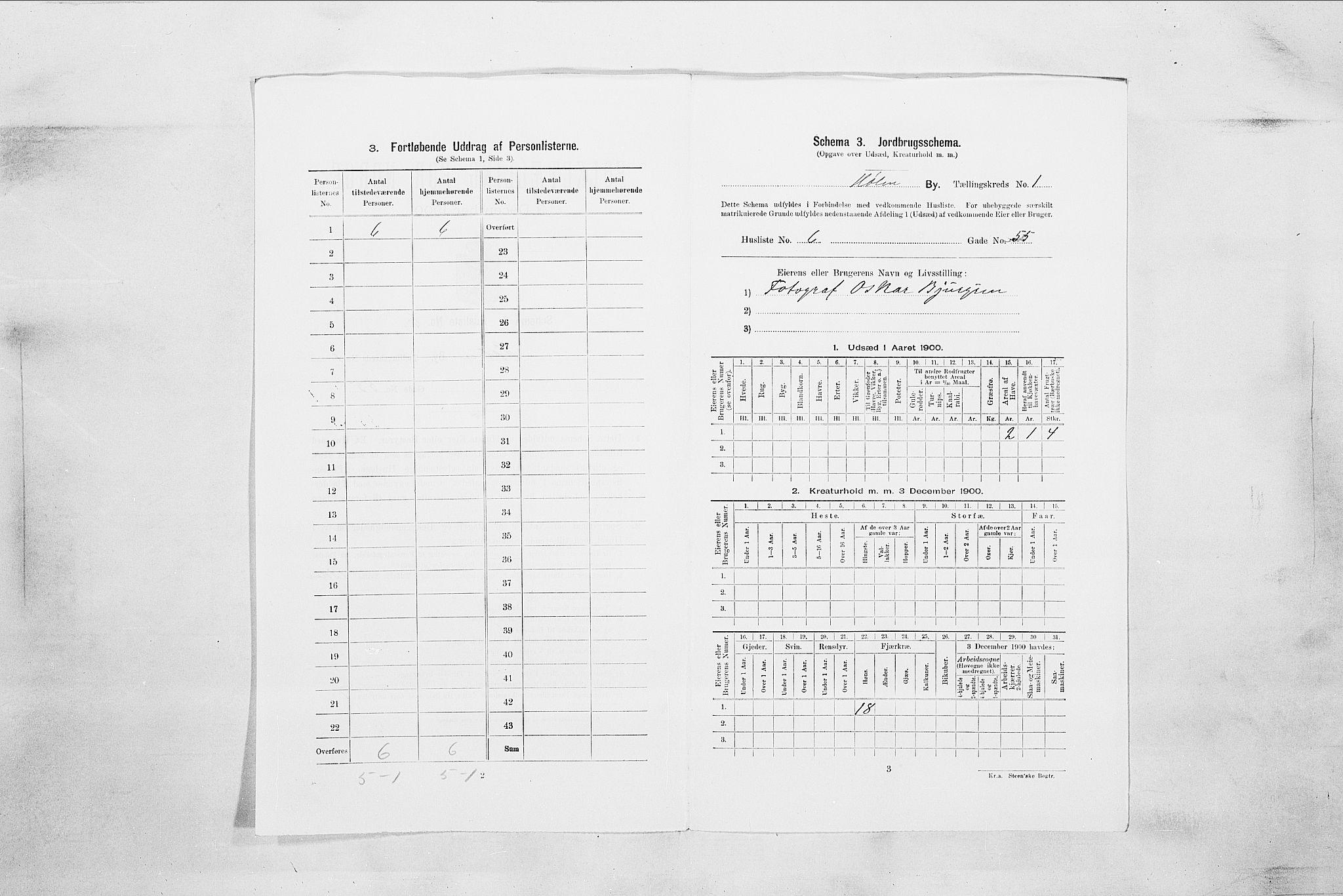 SAO, Folketelling 1900 for 0204 Hølen ladested, 1900
