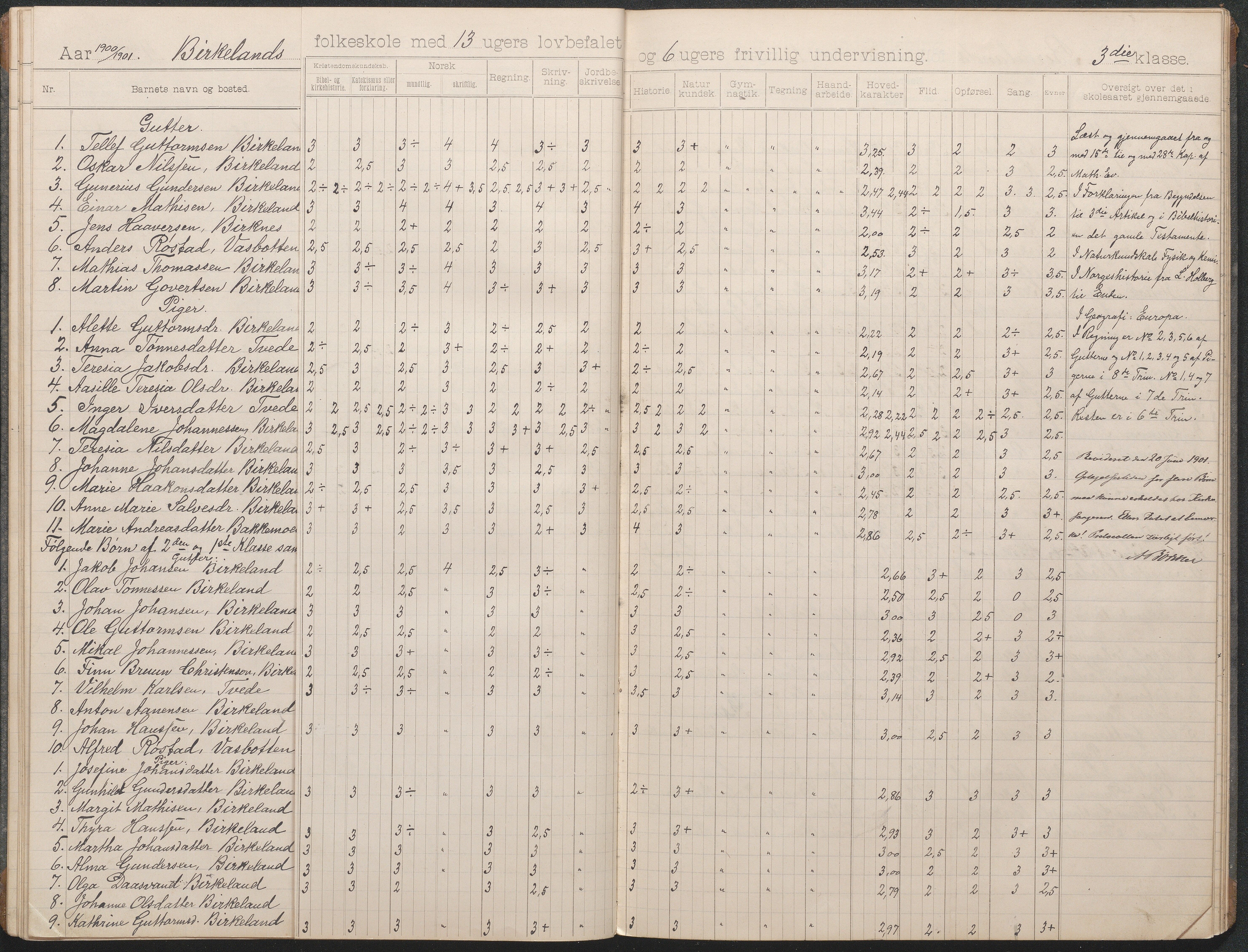 Birkenes kommune, Birkenes krets/Birkeland folkeskole frem til 1991, AAKS/KA0928-550a_91/F02/L0004: Skoleprotokoll, 1896-1907